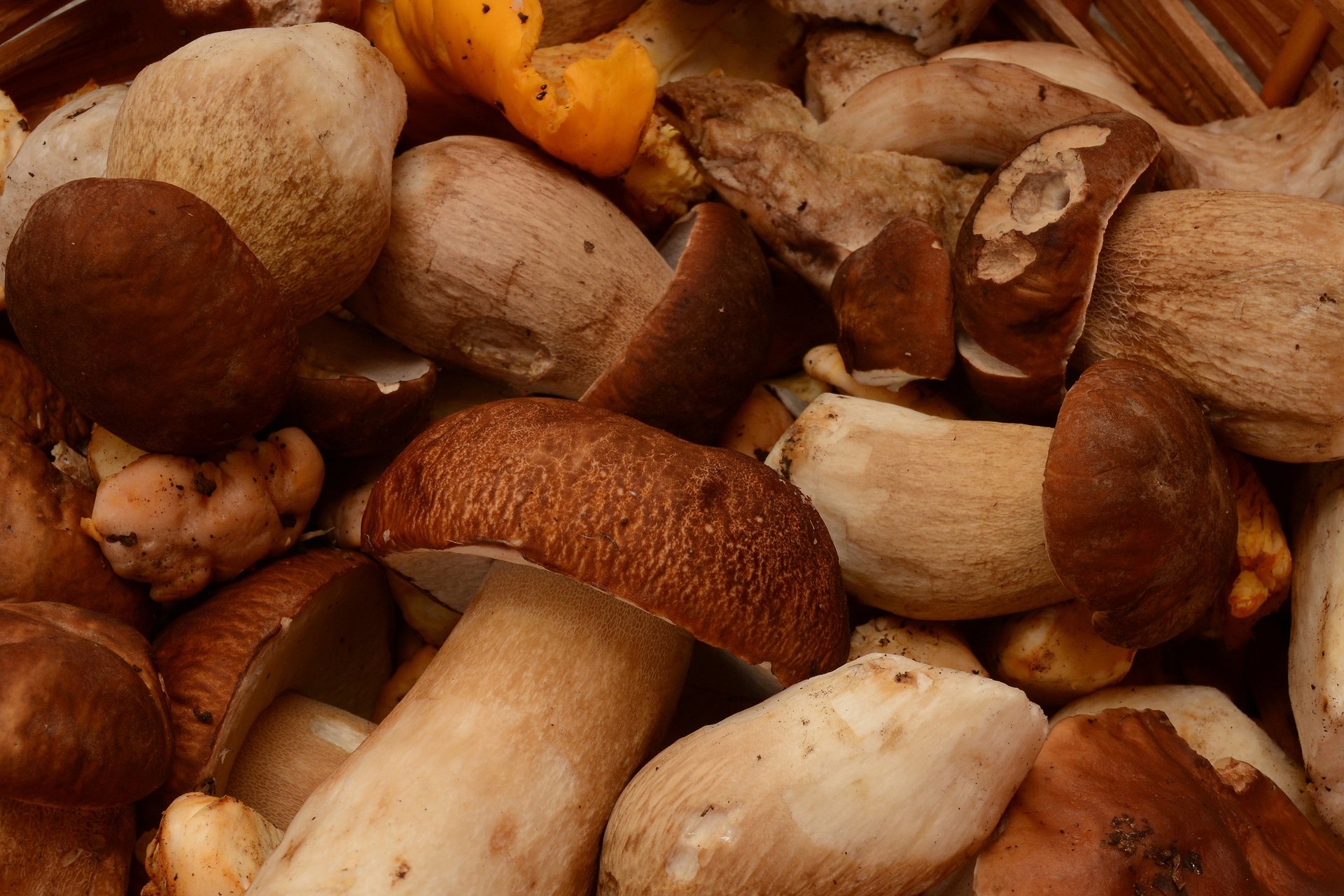 gray computer monitor