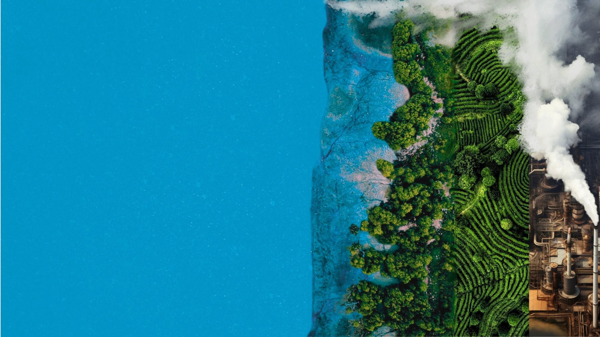 an abstract photo of a curved building with a blue sky in the background