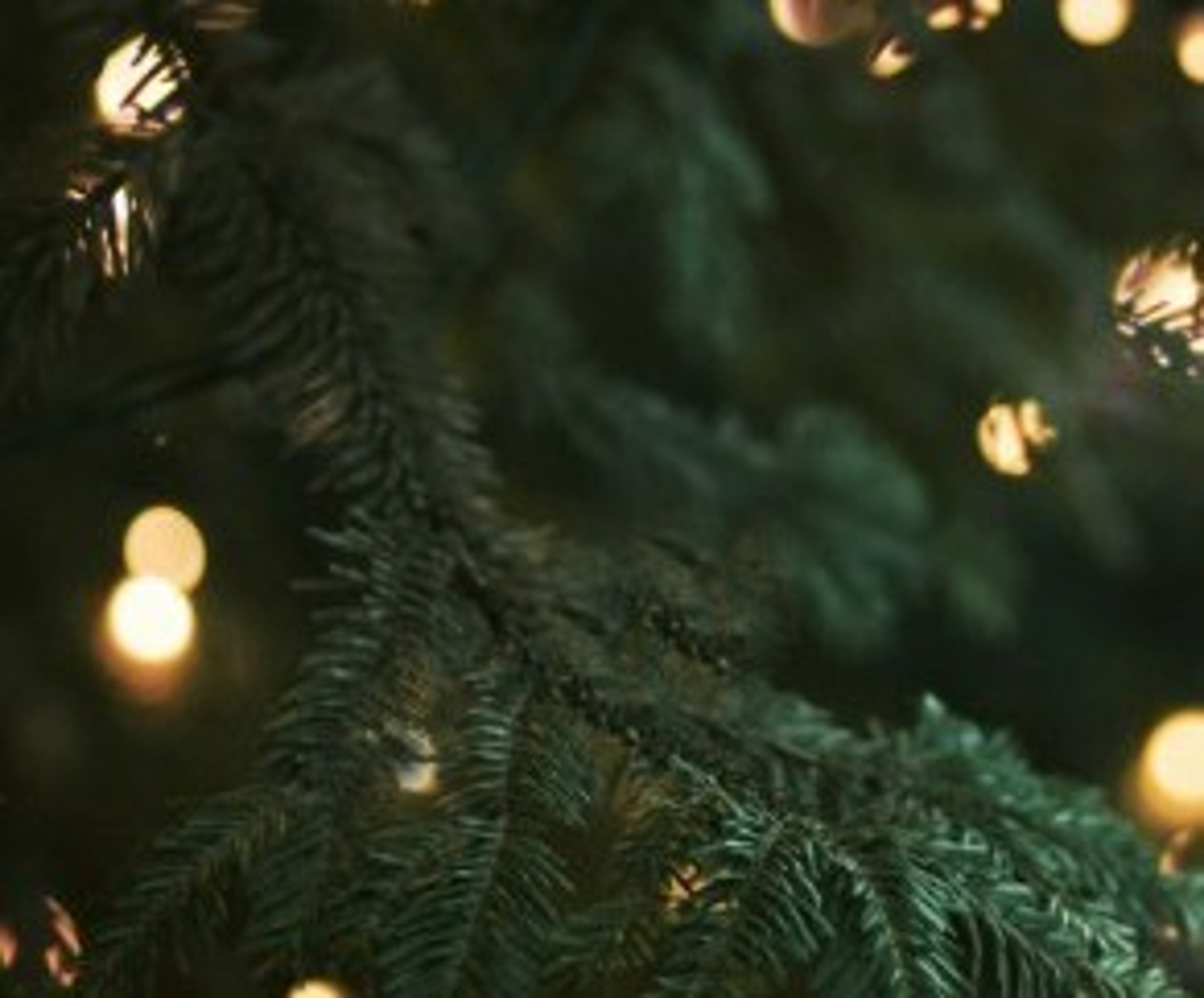 green christmas tree with string lights