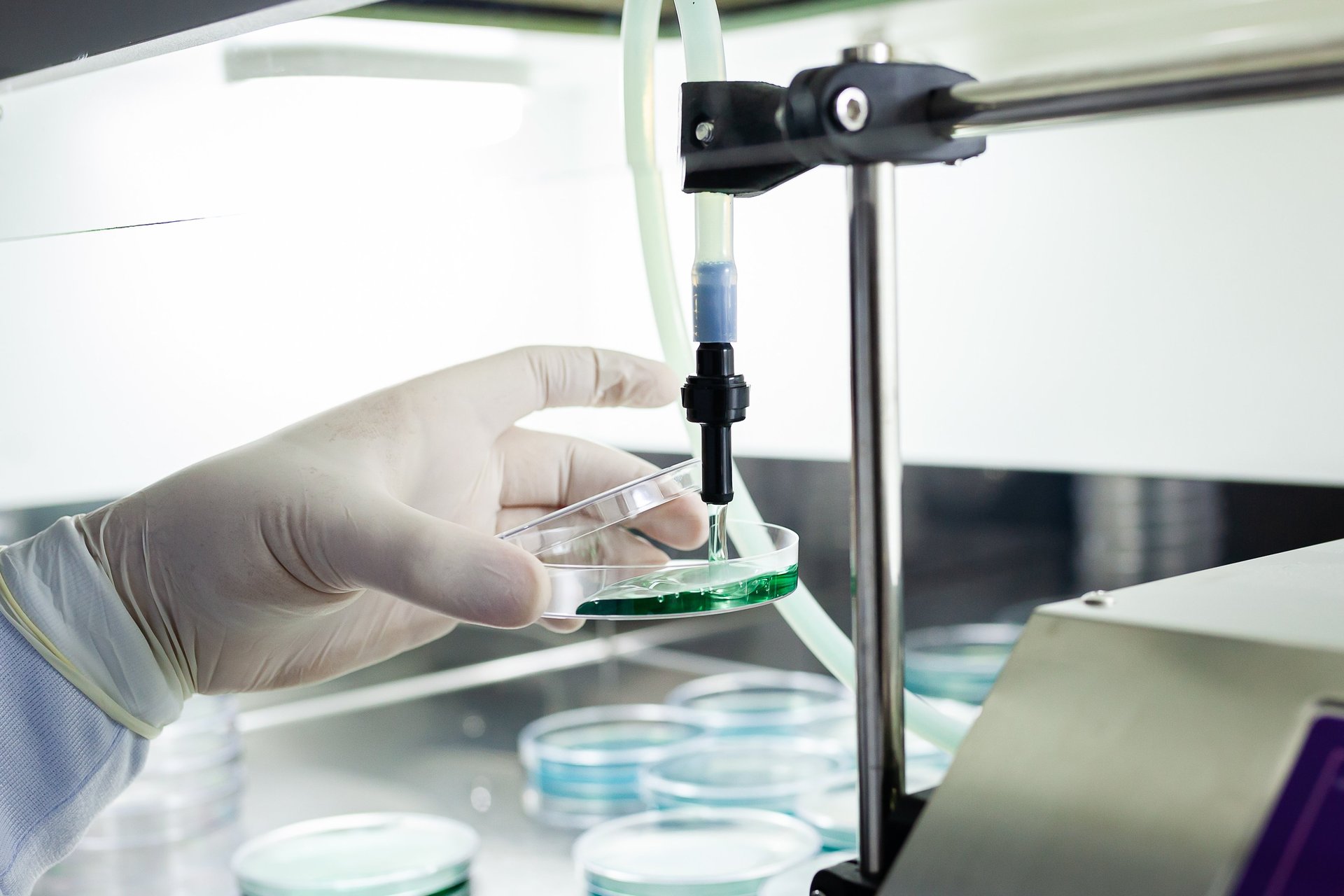 black and white bed linen