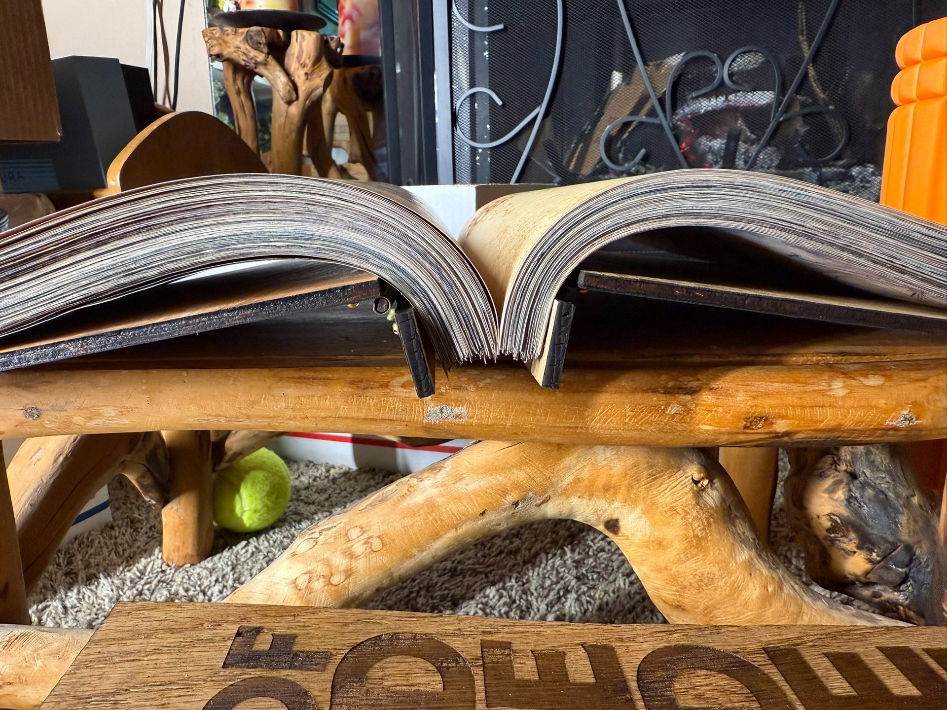 woman holding dried flower