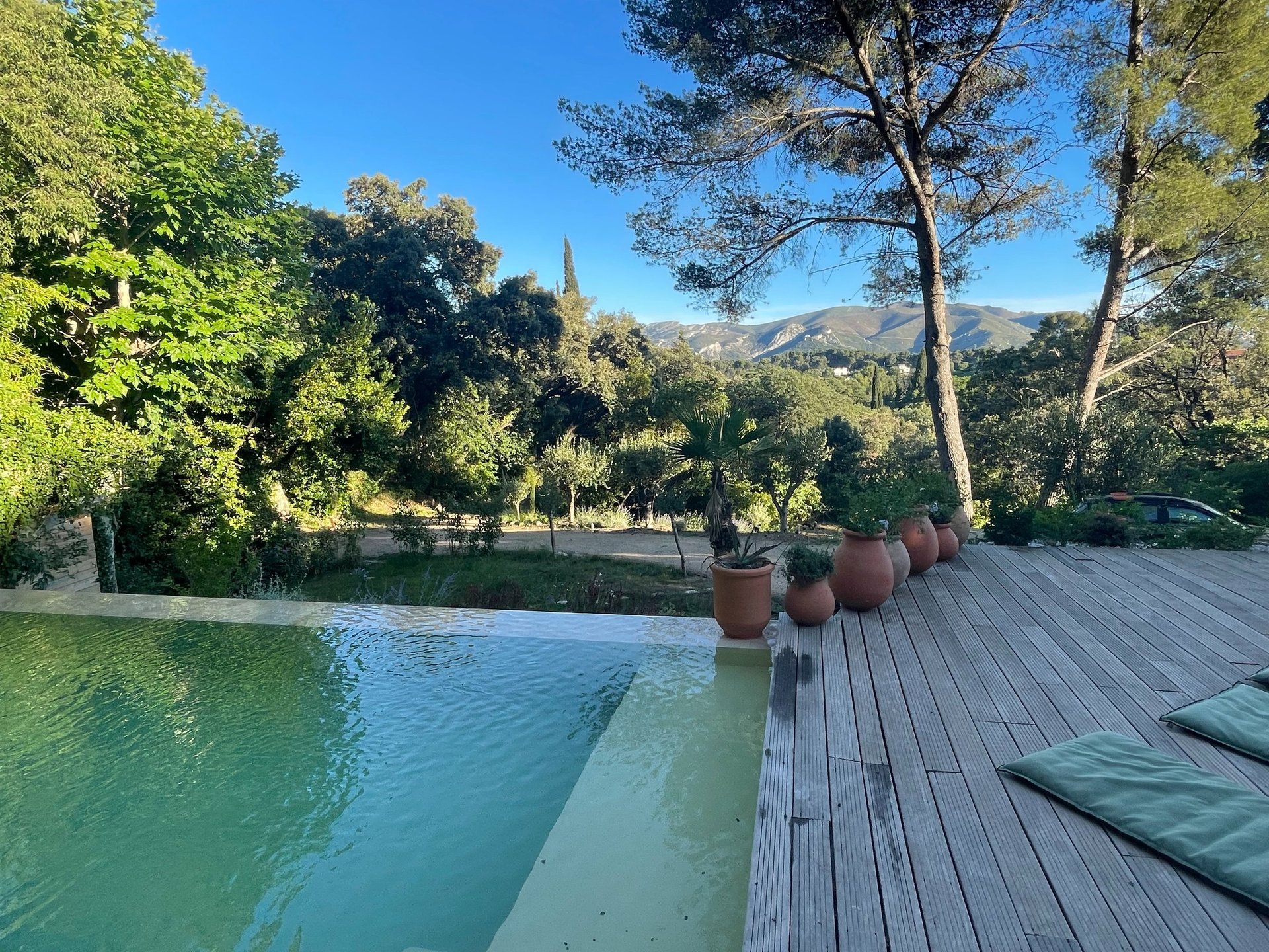 black and brown leather padded tub sofa
