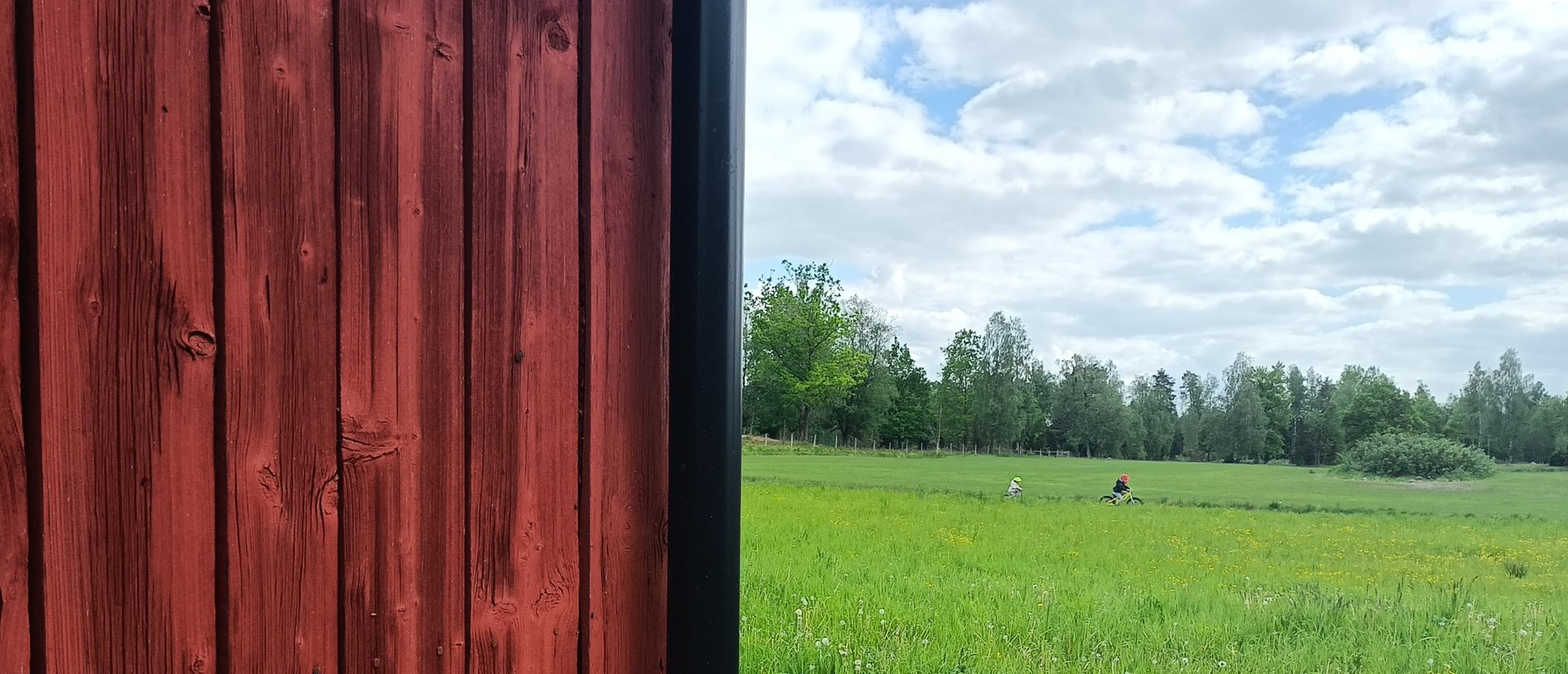 Discover the best natural paint for barns. Formula offers long-lasting protection, easy application, and a t
