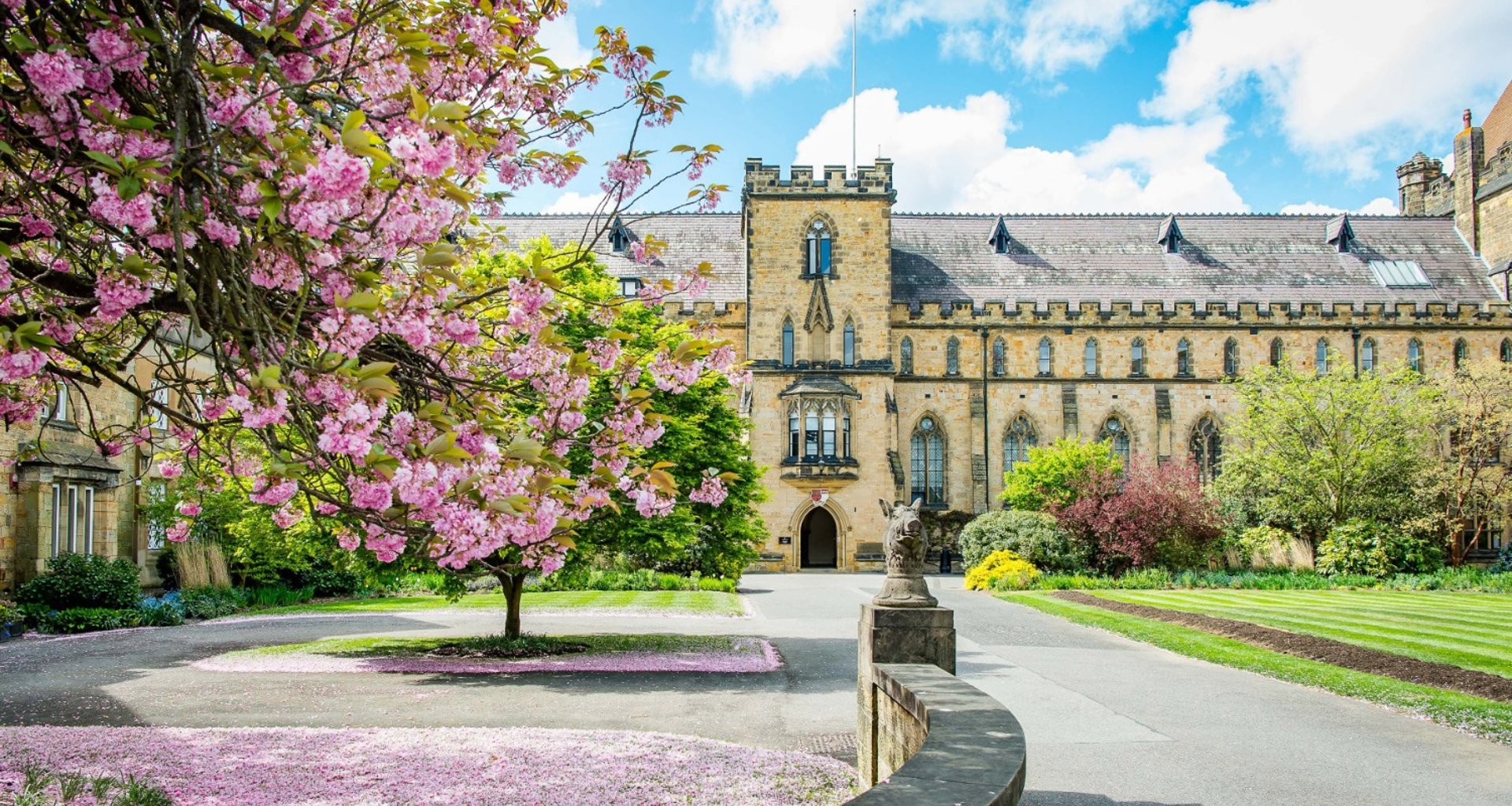 an abstract photo of a curved building with a blue sky in the background