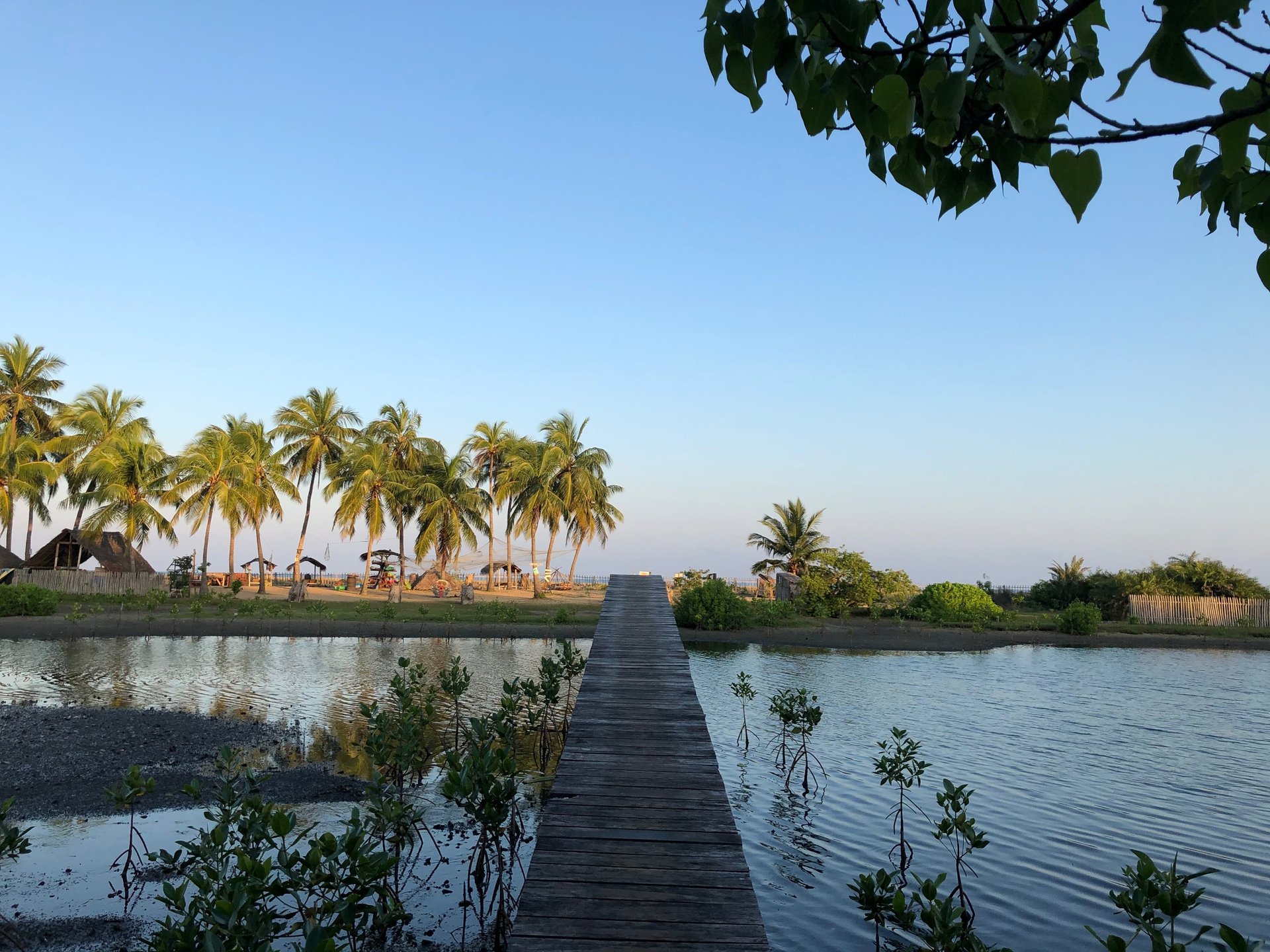 photo of brown bench near swimming pool