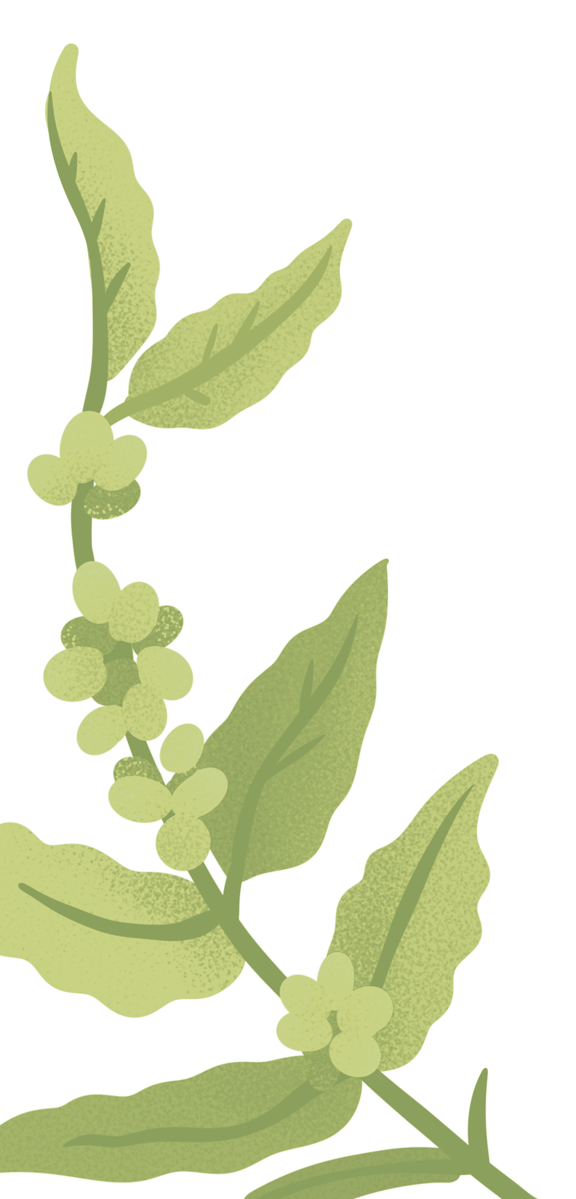 shallow focus photography of coffee late in mug on table