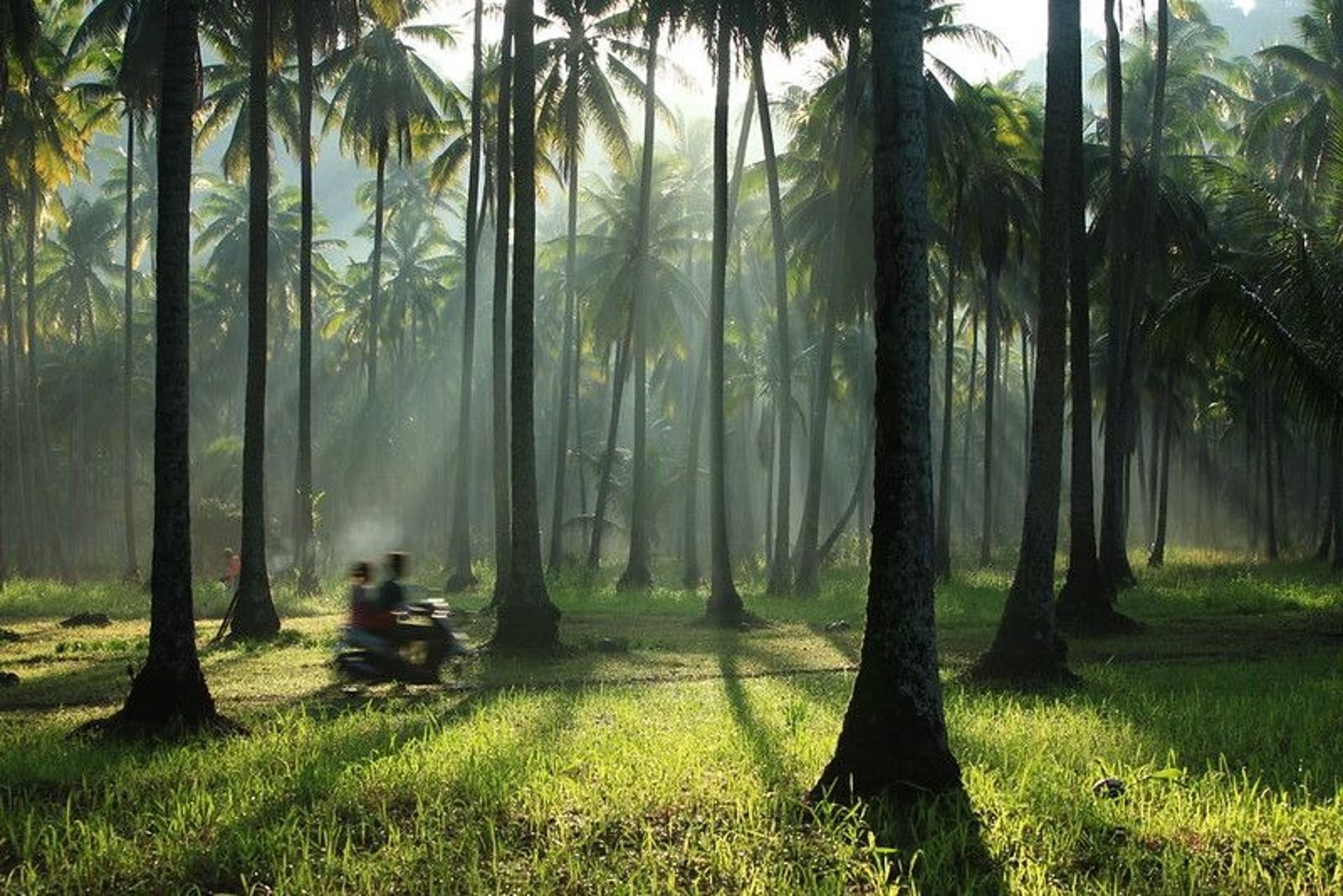 black blue and yellow textile