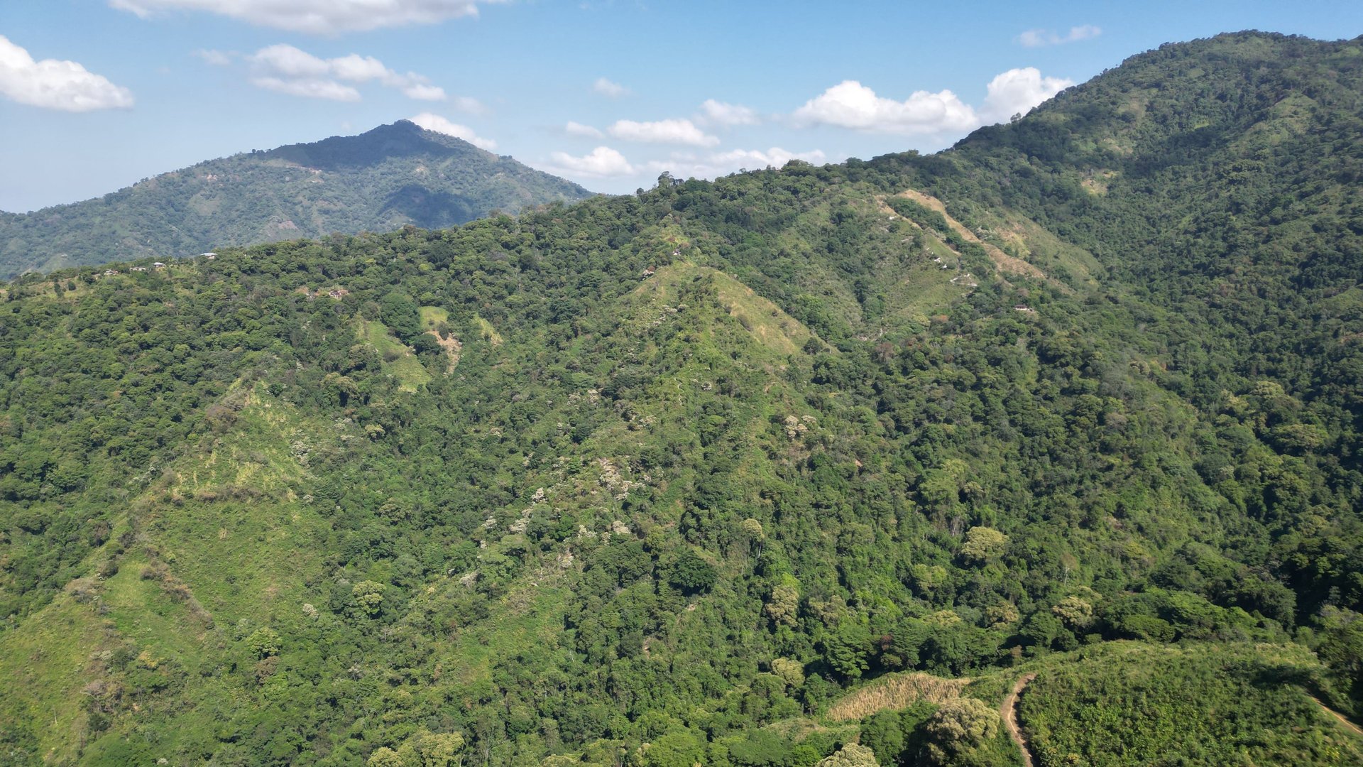 Montañas verdes