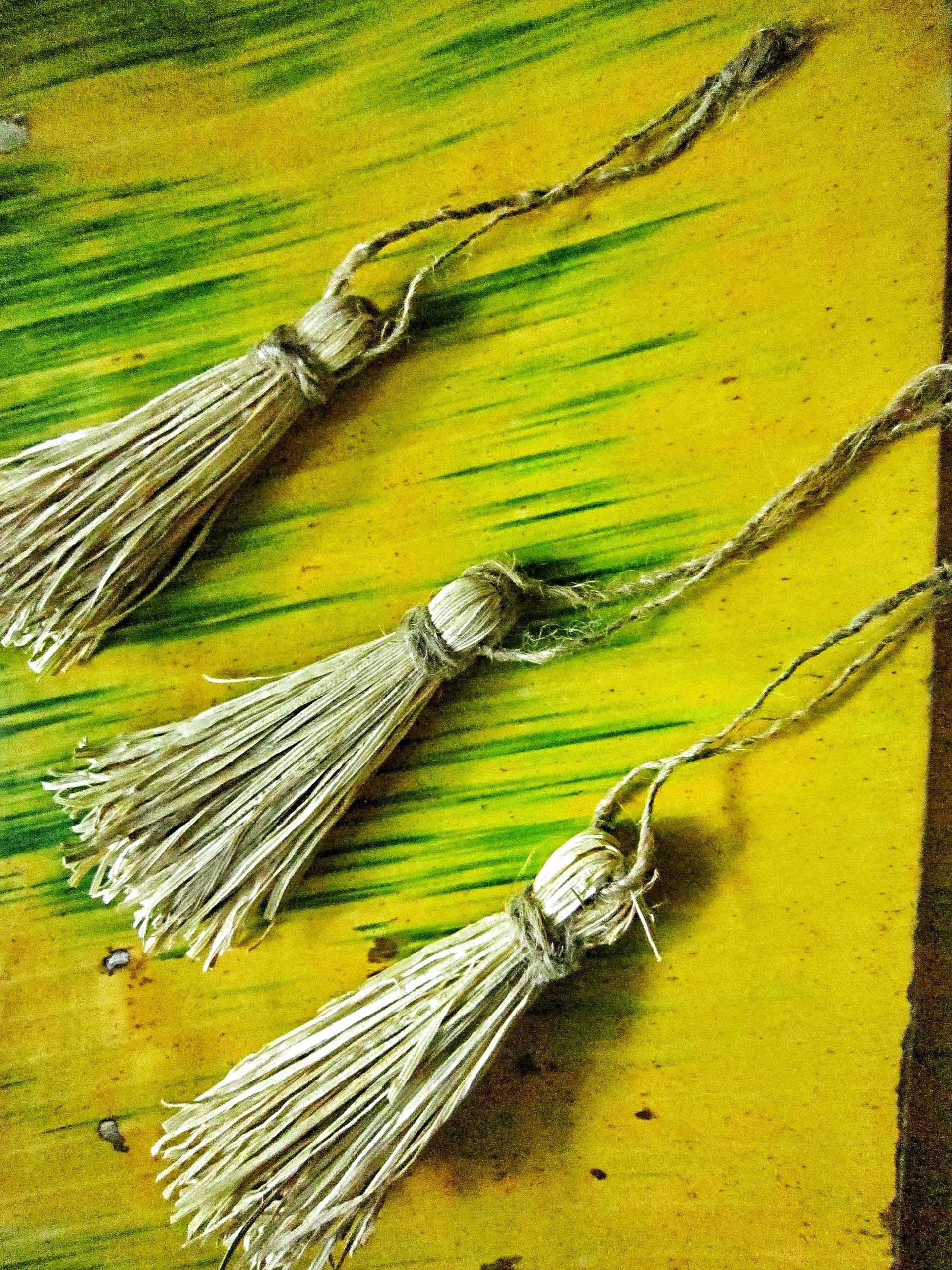 Recycle paper flower quilling in the dry leaf 
