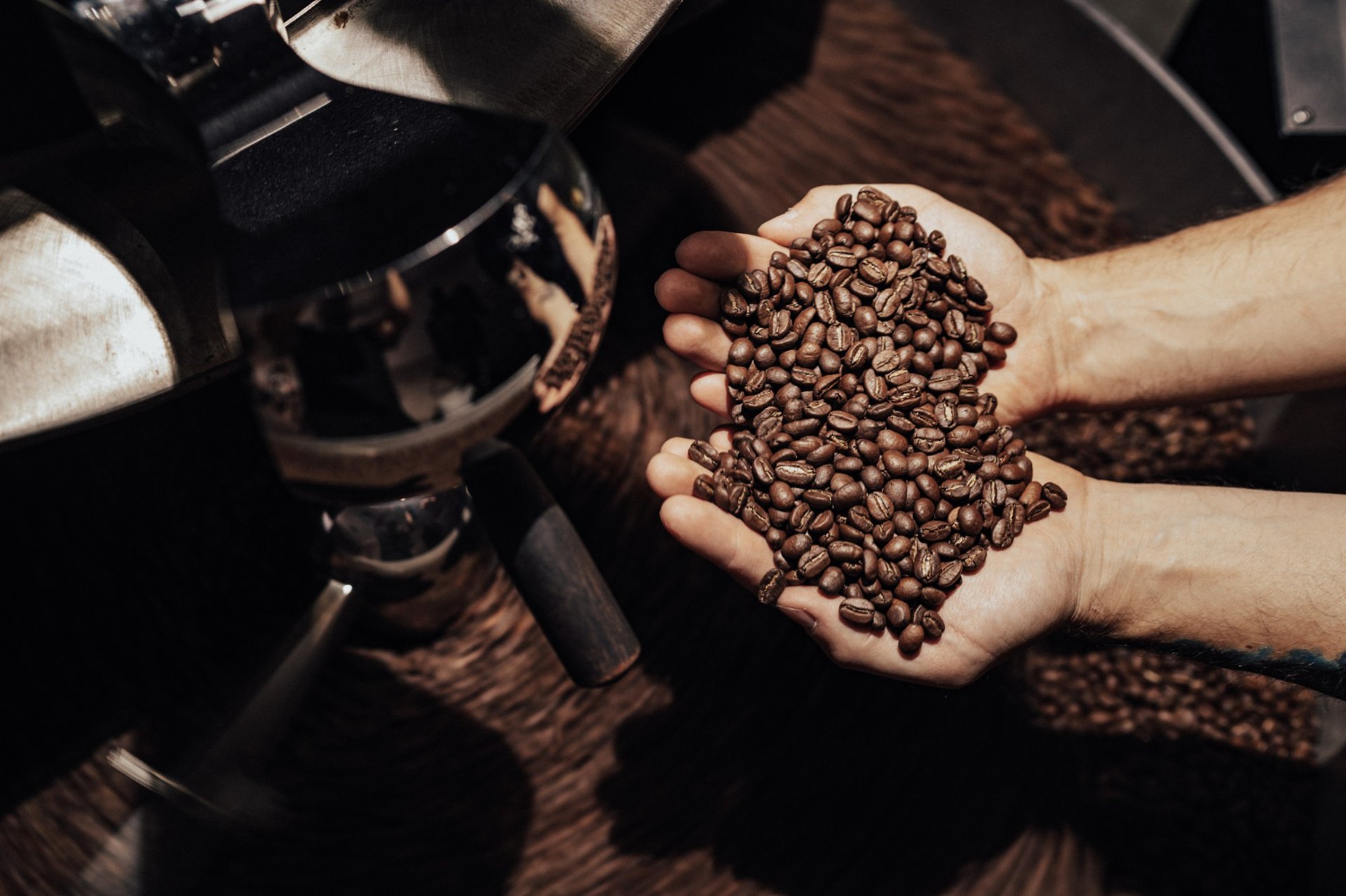 coffee beans on white ceramic mug beside stainless steel spoon