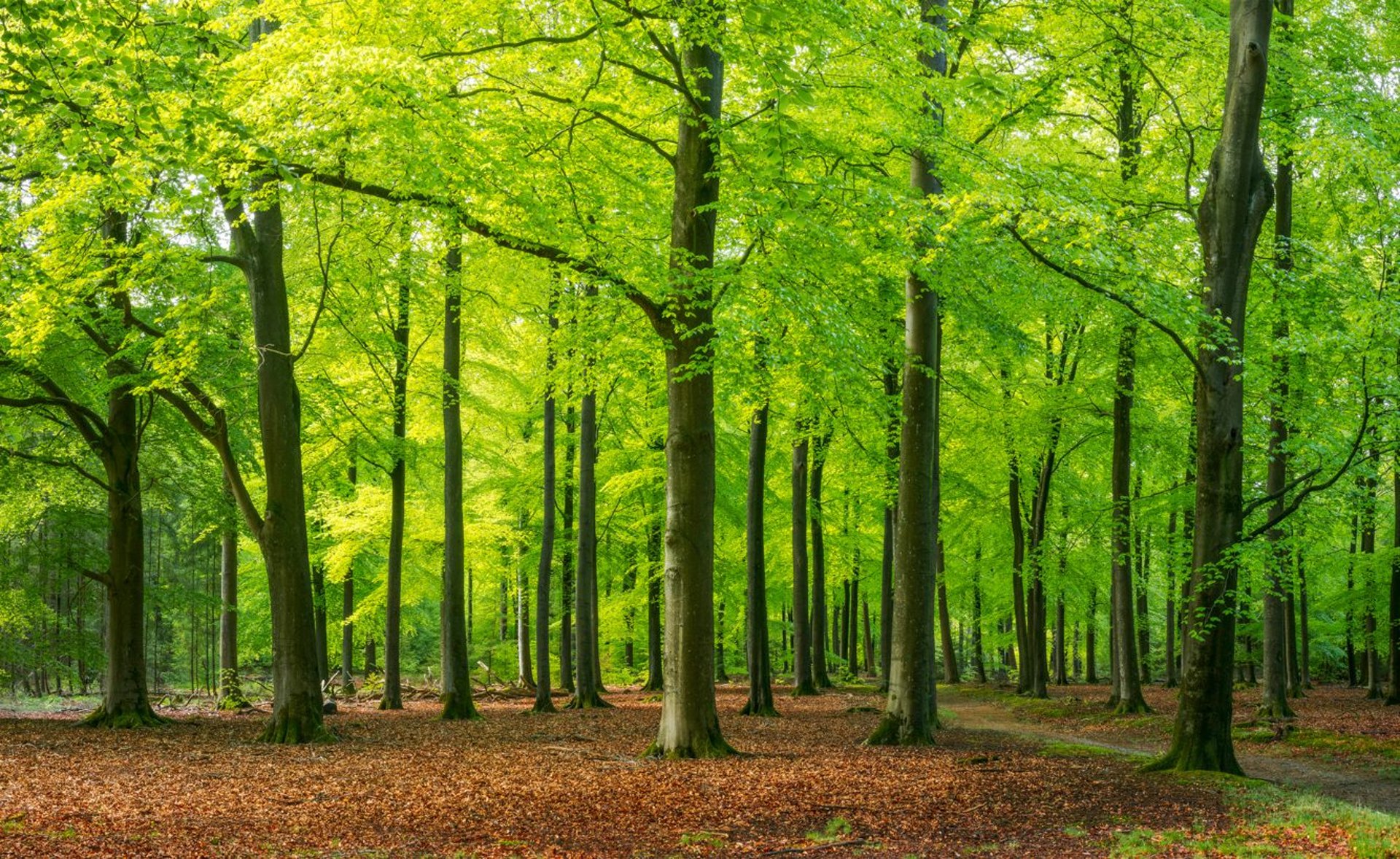 an abstract photo of a curved building with a blue sky in the background