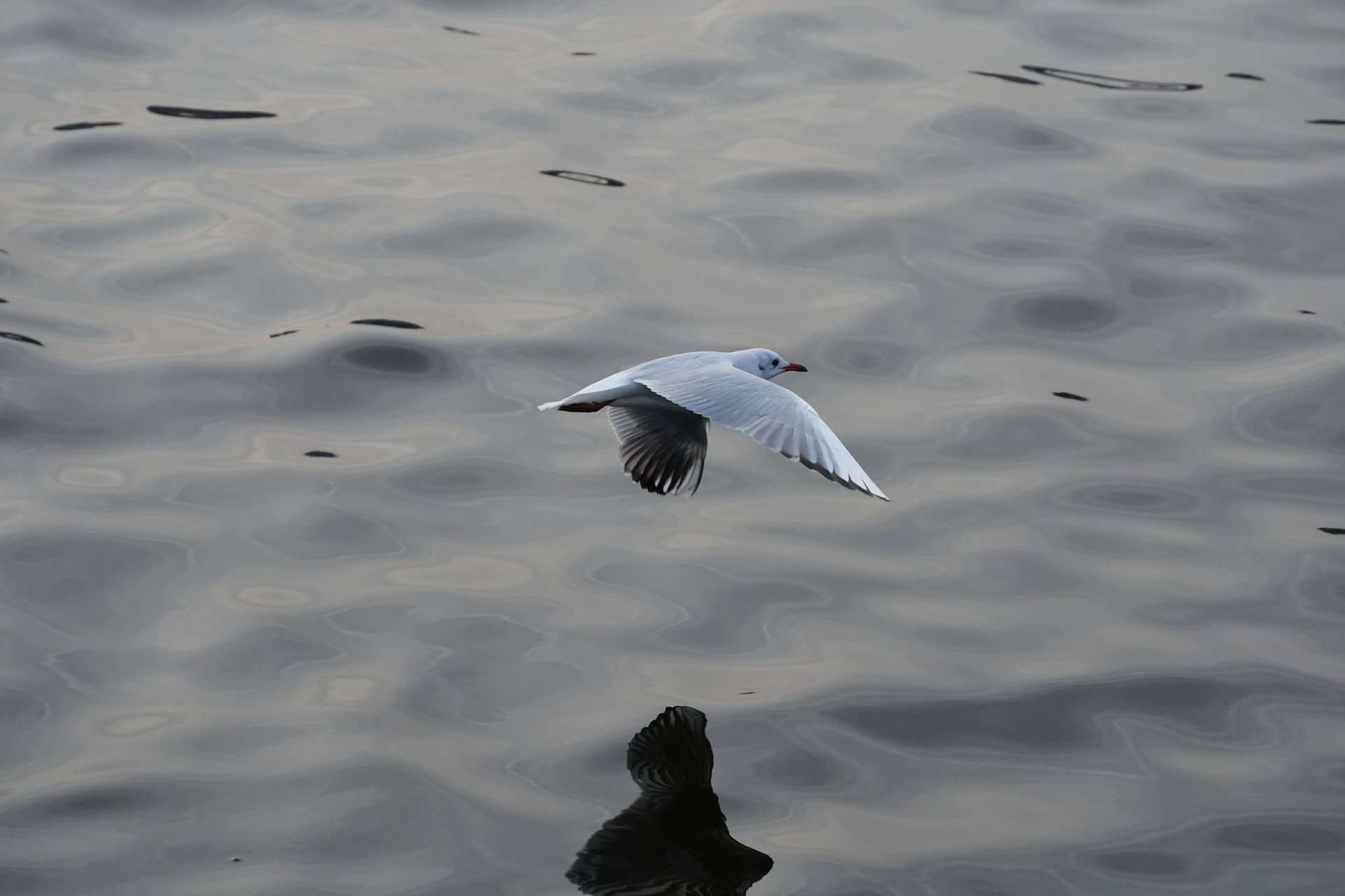 an abstract photo of a curved building with a blue sky in the background