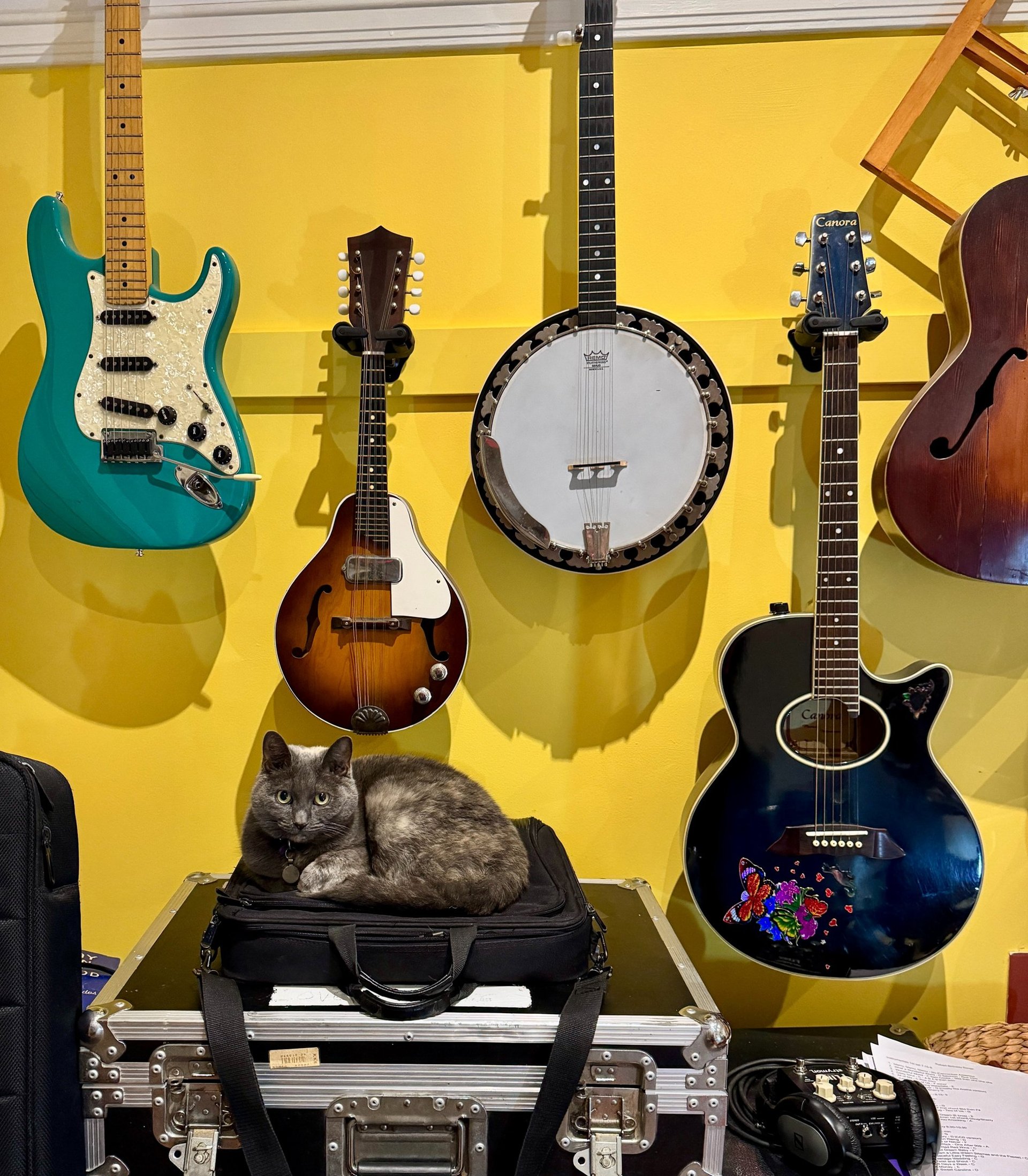 gray computer monitor