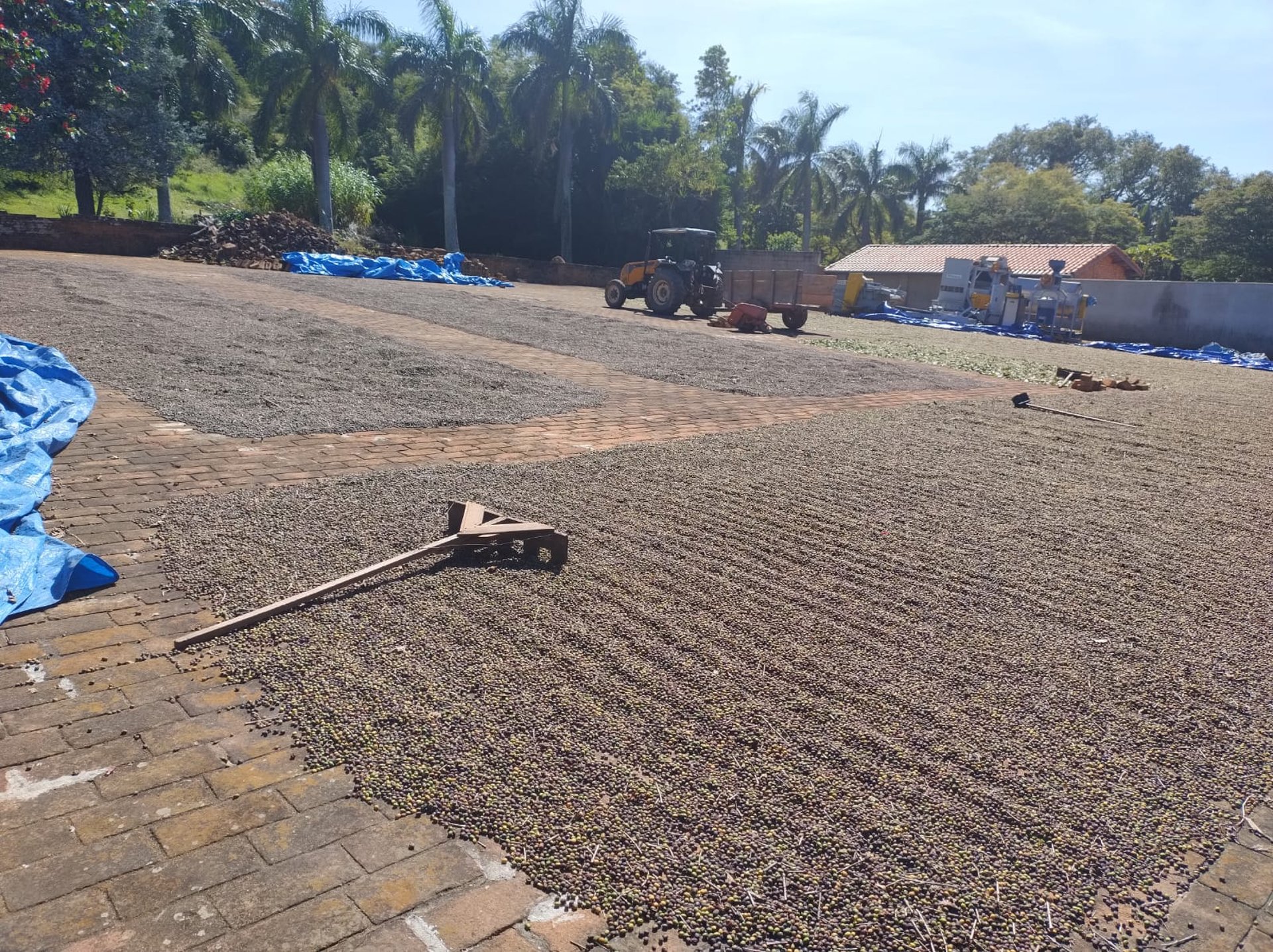 woman wearing yellow long-sleeved dress under white clouds and blue sky during daytime
