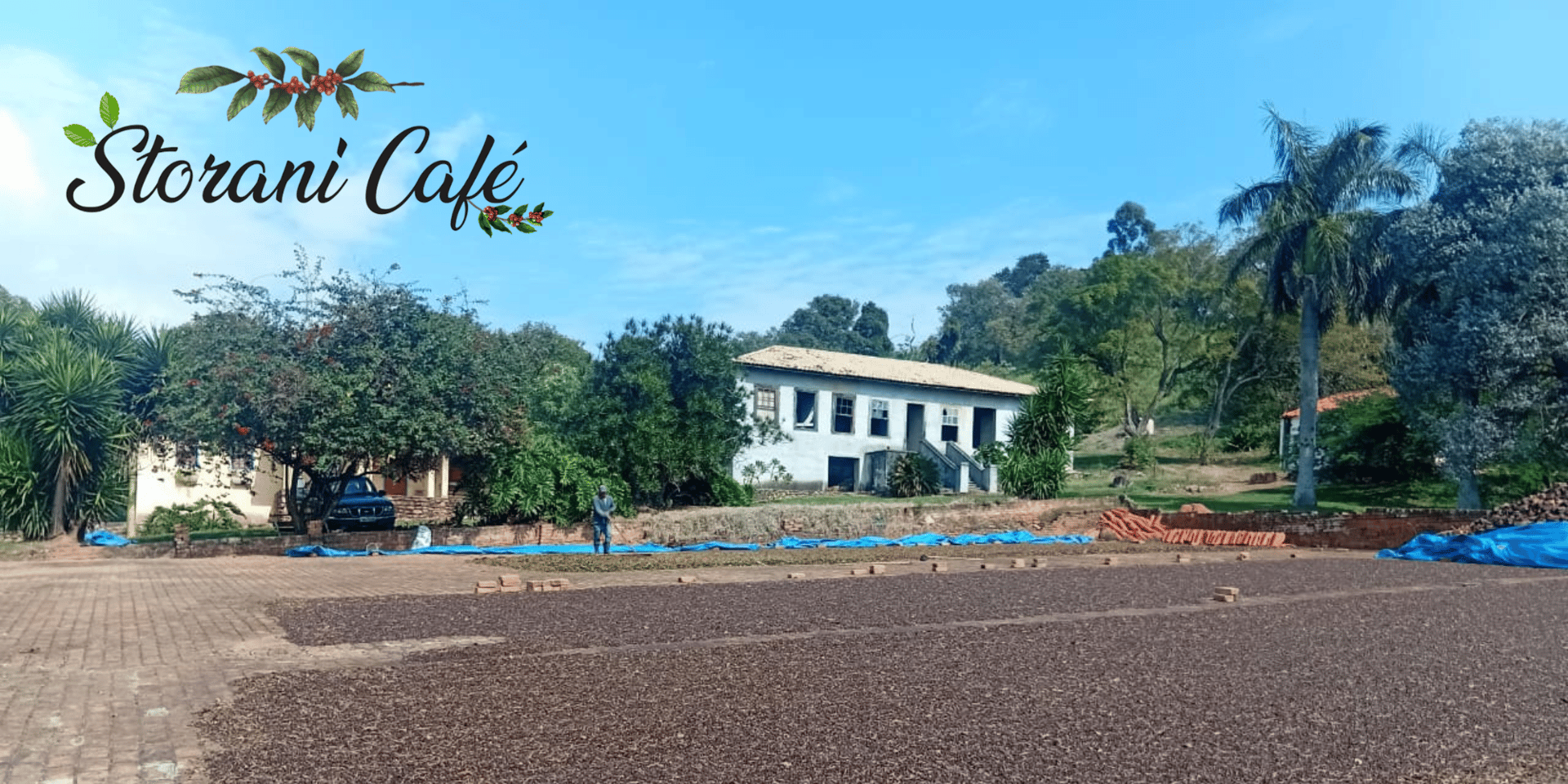 woman holding dried flower