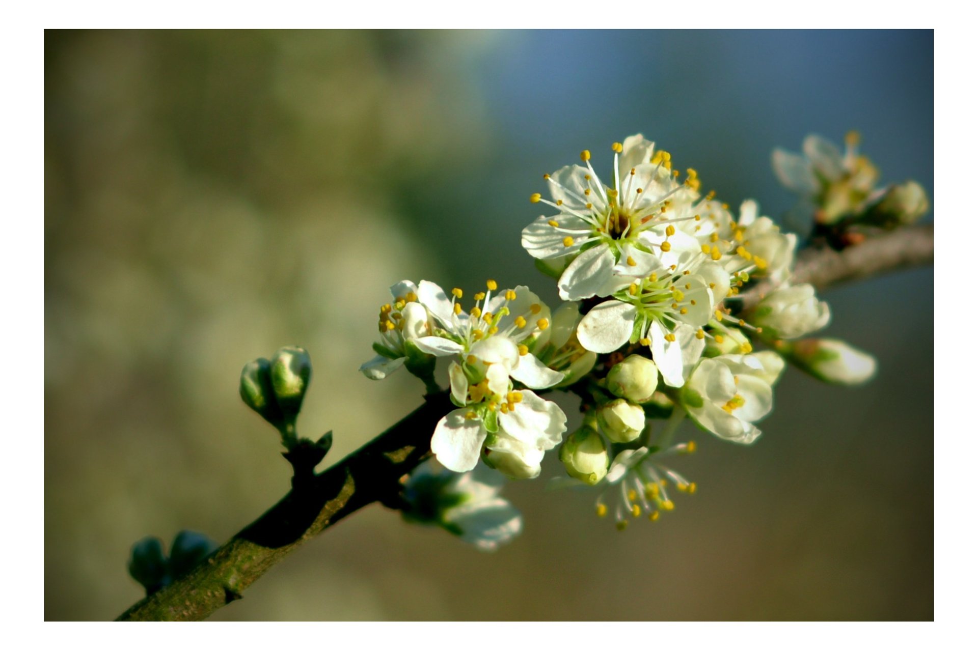 gray computer monitor