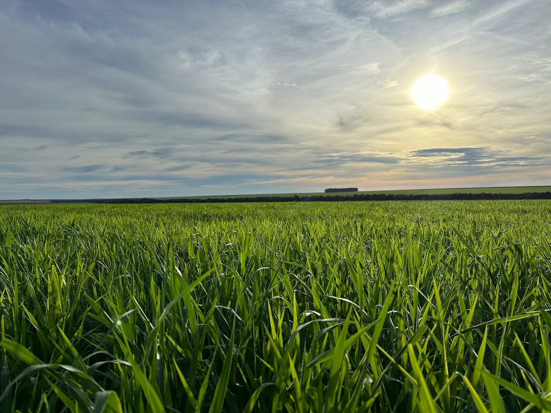 mountain range under blue sky