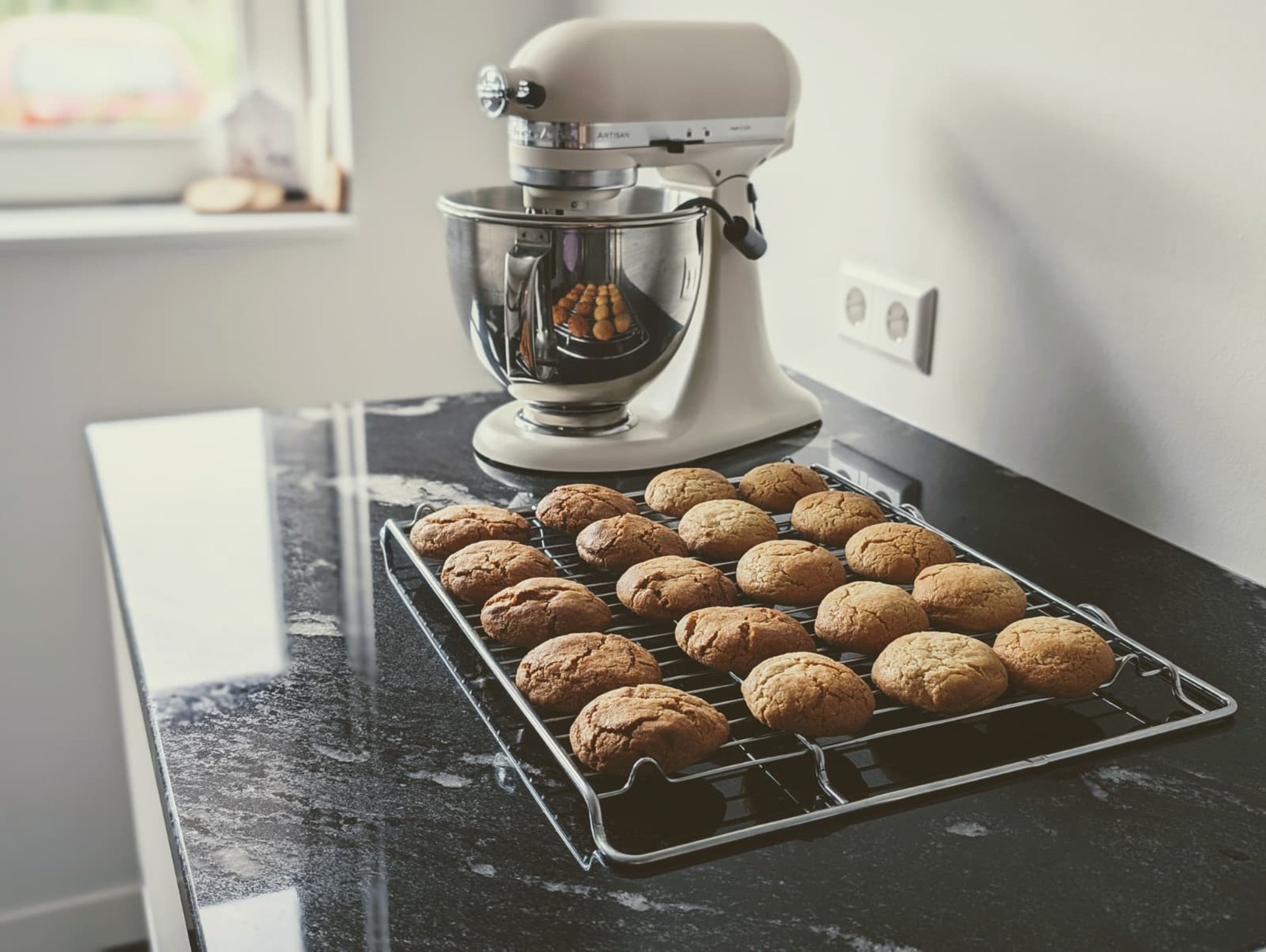 woman holding dried flower
