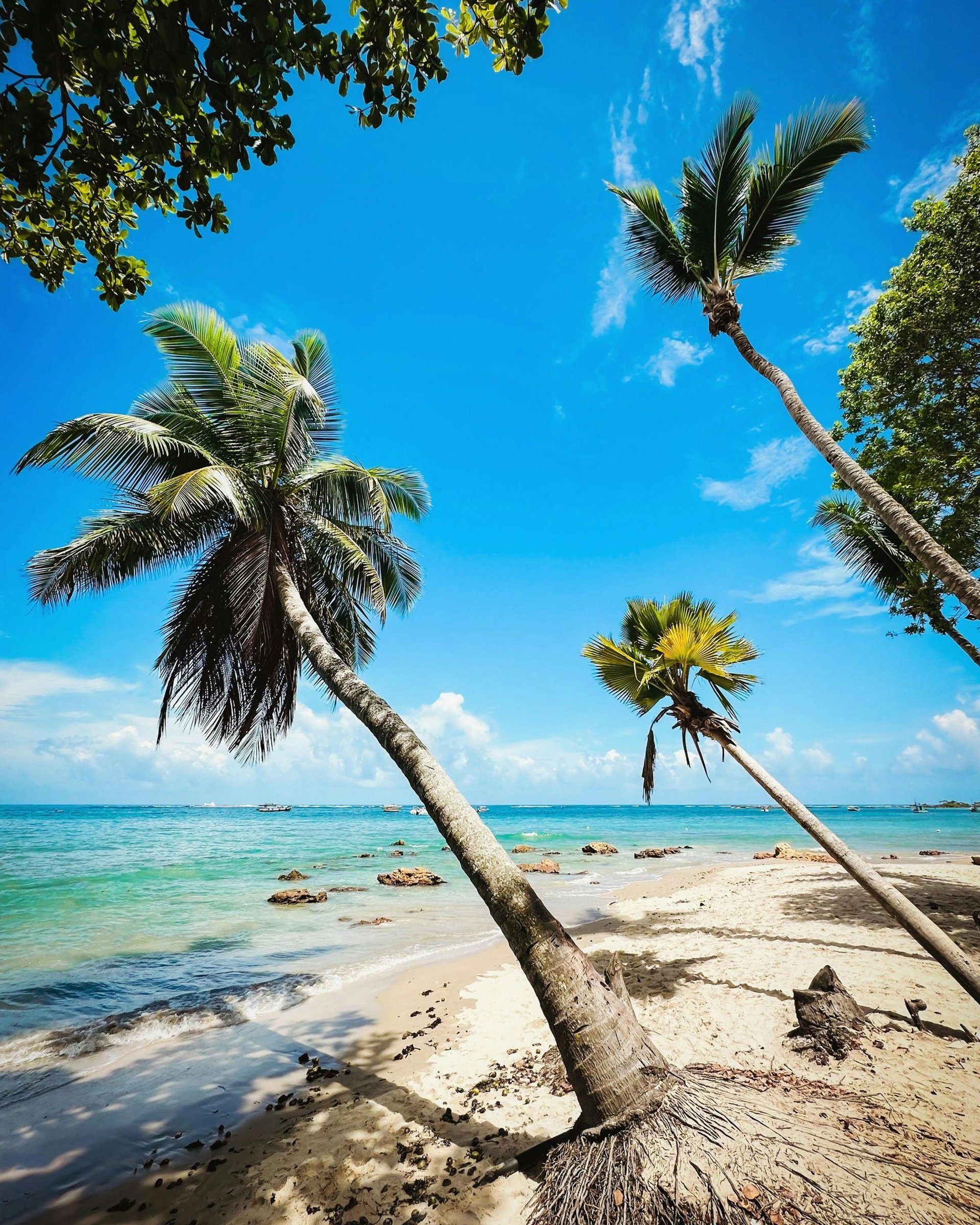 an abstract photo of a curved building with a blue sky in the background