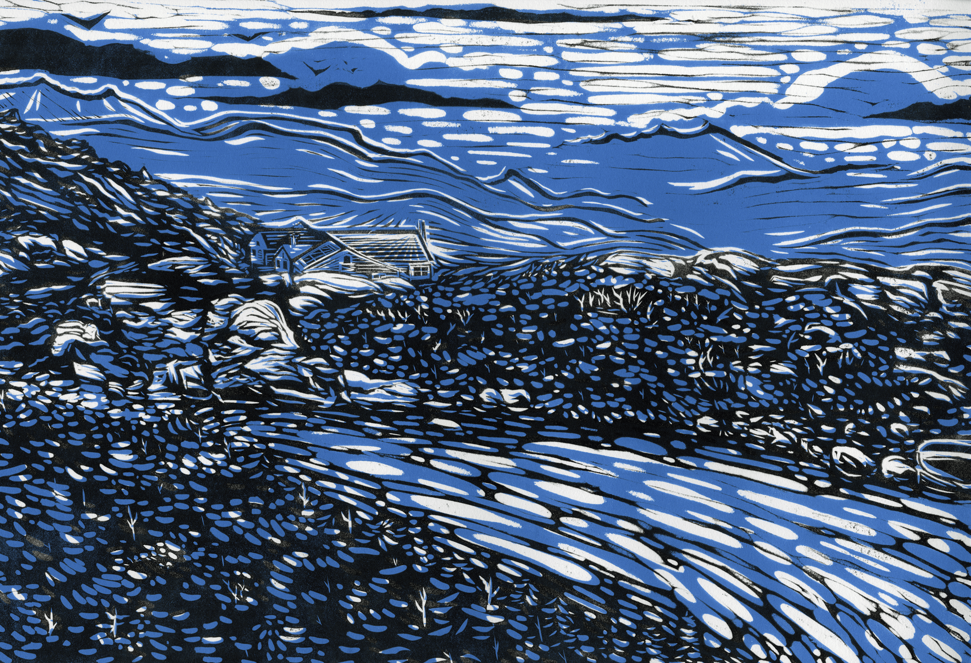 black blue and yellow textile