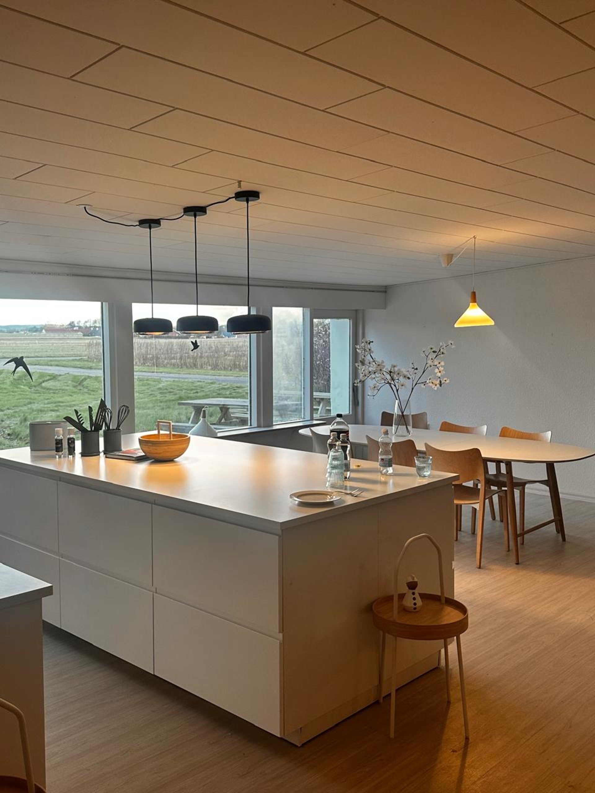 a group of chairs sitting around a fire in the woods