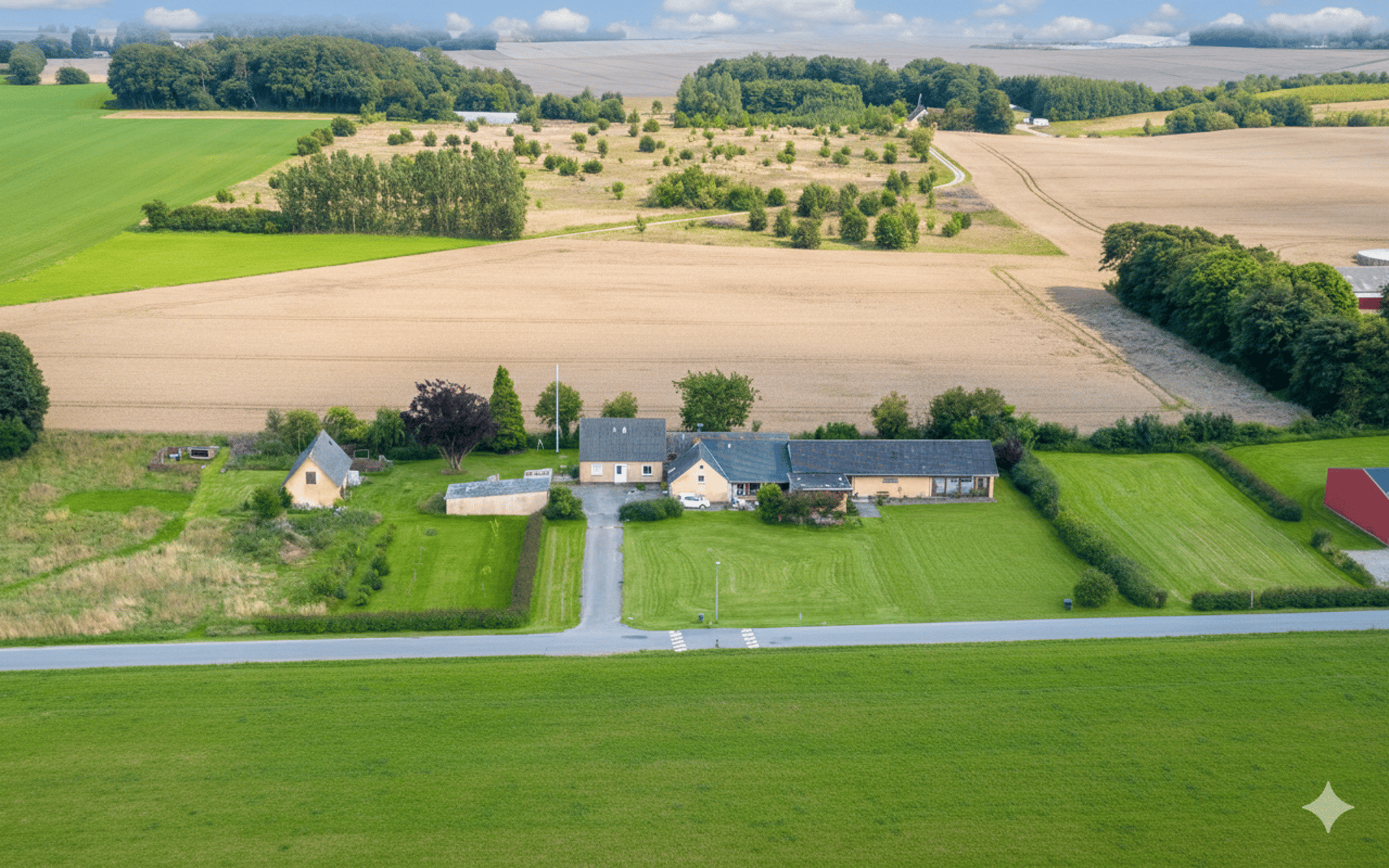 a herd of cattle grazing on a lush green field