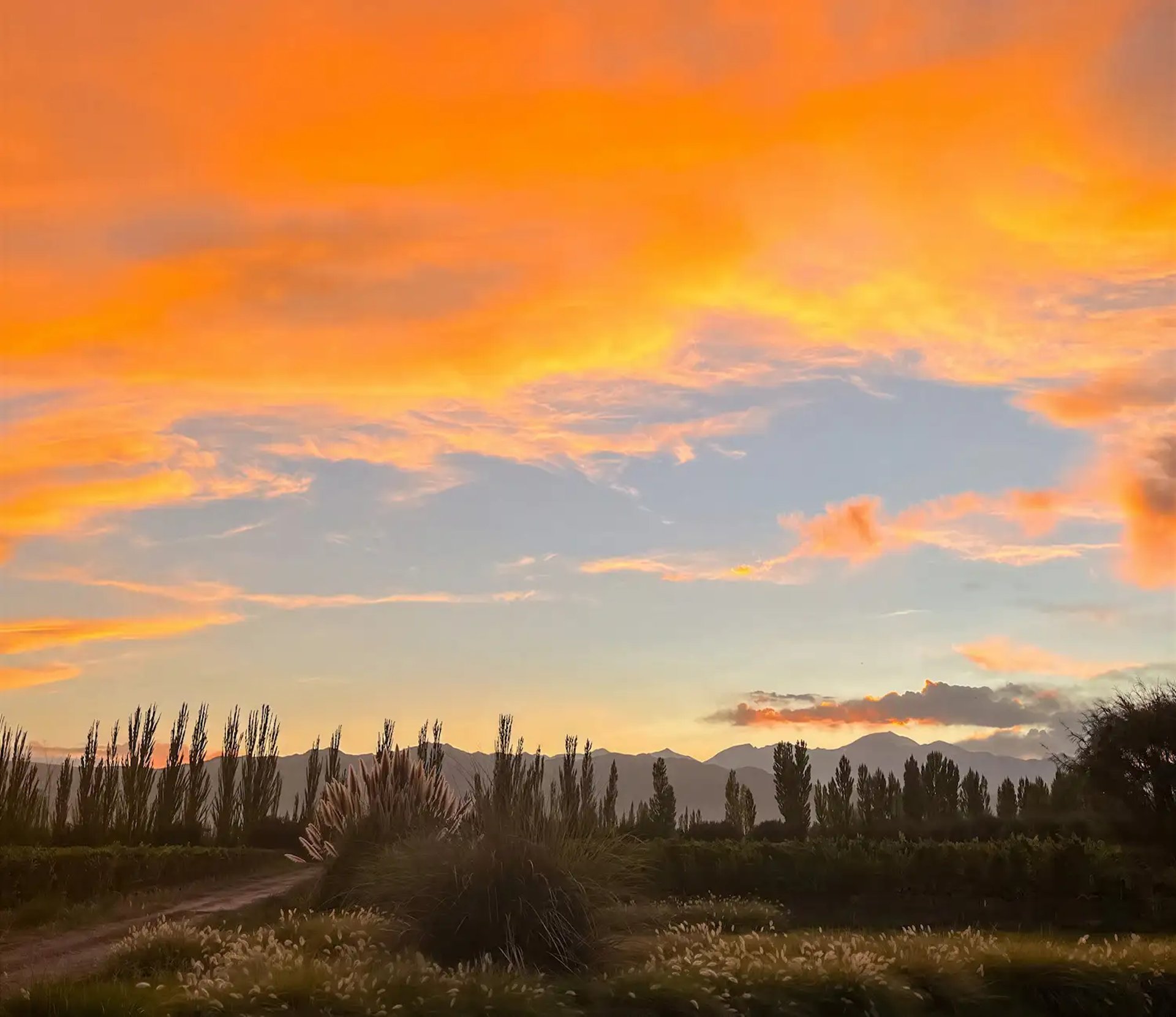a close up of a person wearing a silver top