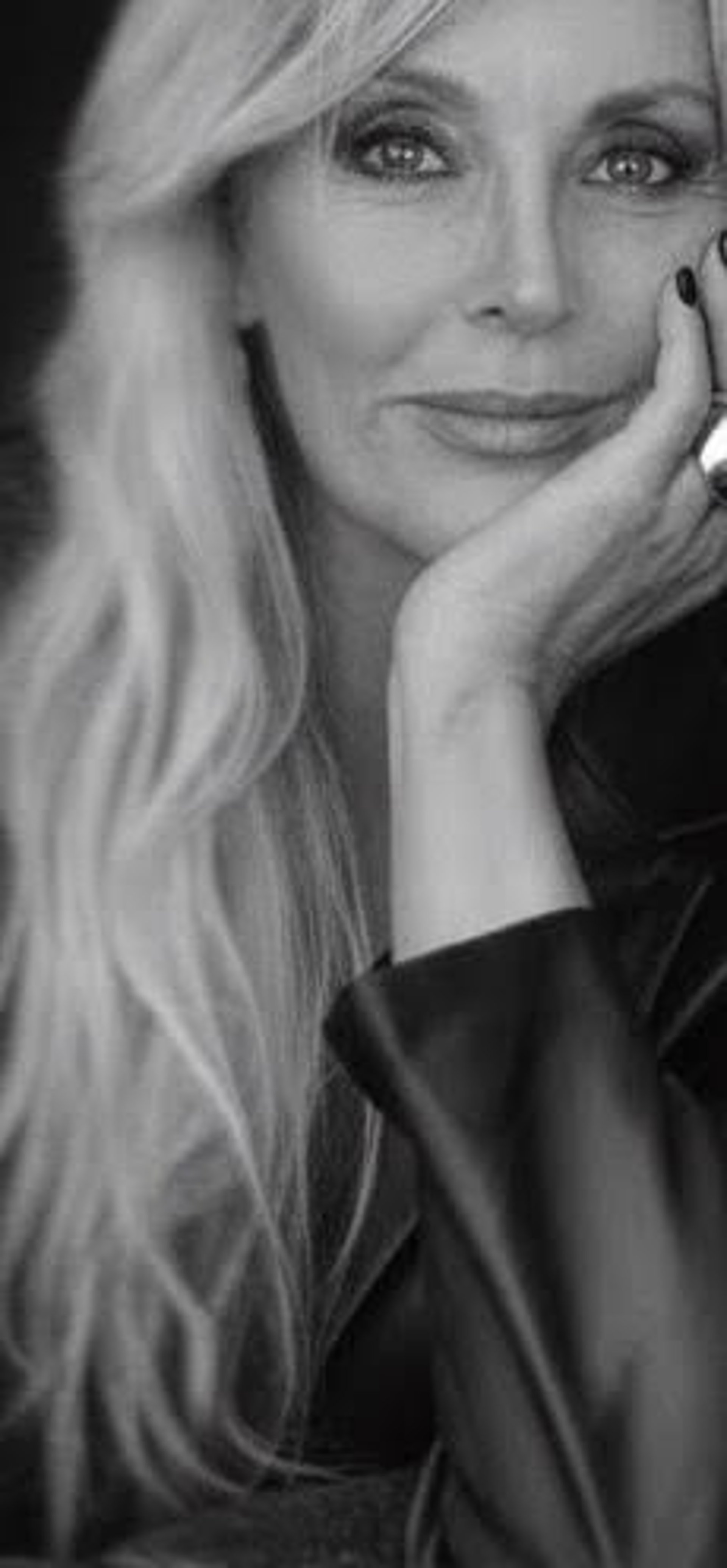 greyscale photo of rose flower