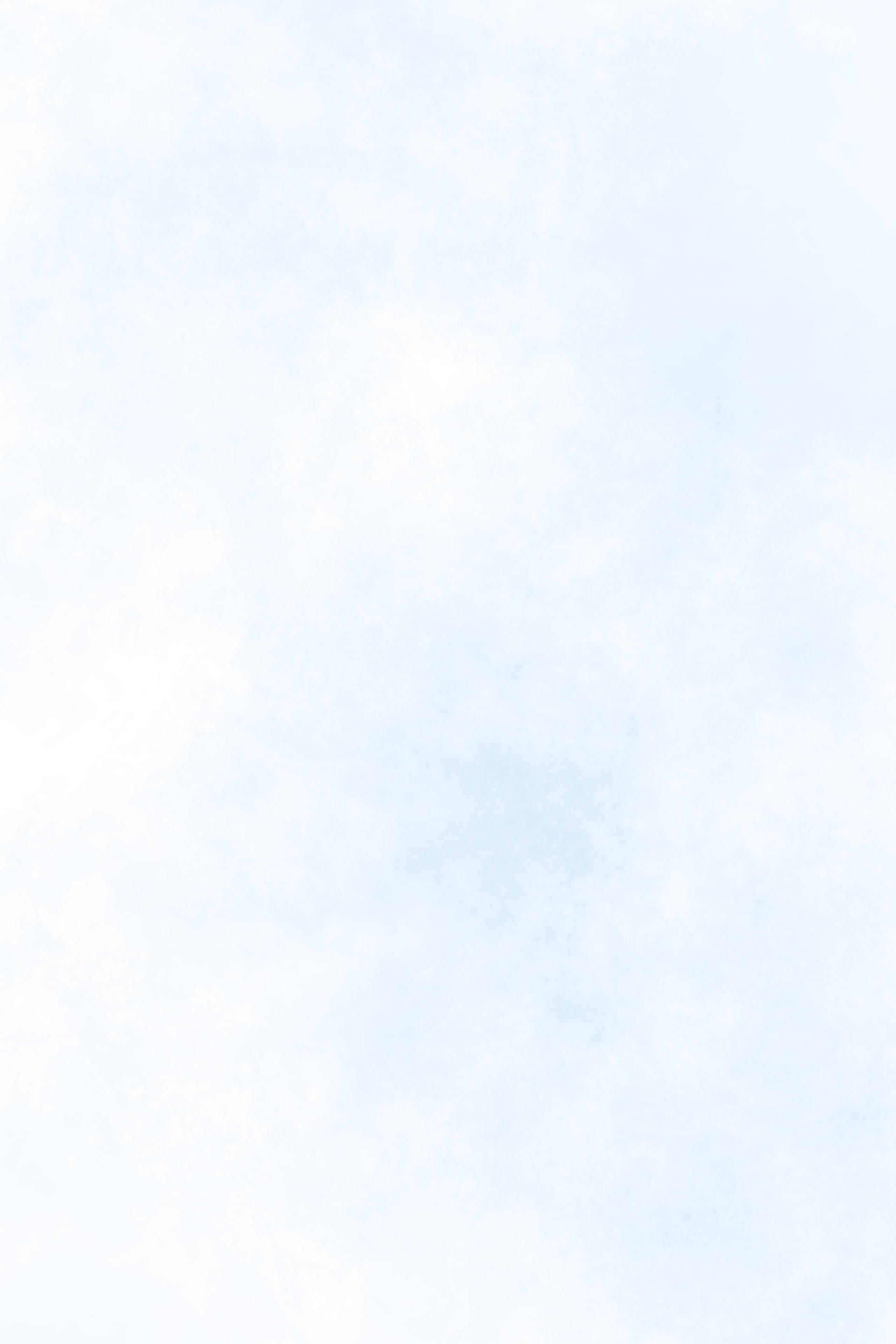 yellow sunflower field during daytime