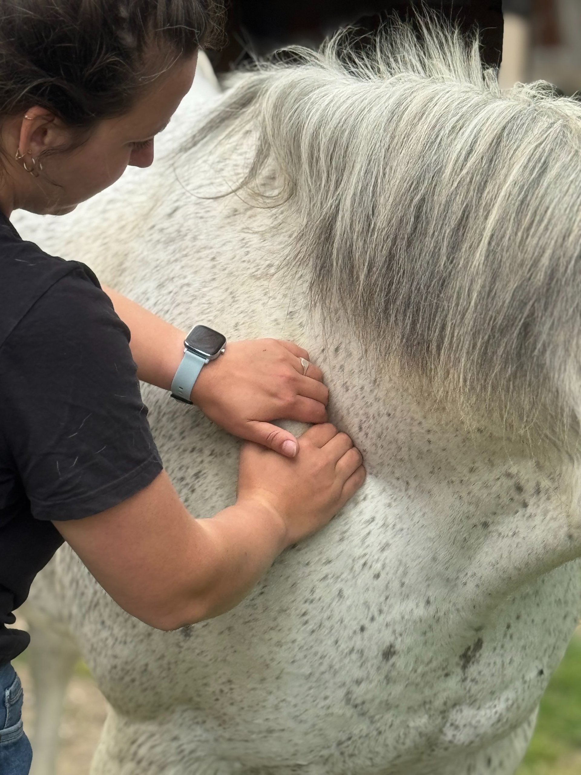 yellow sunflower field during daytime
