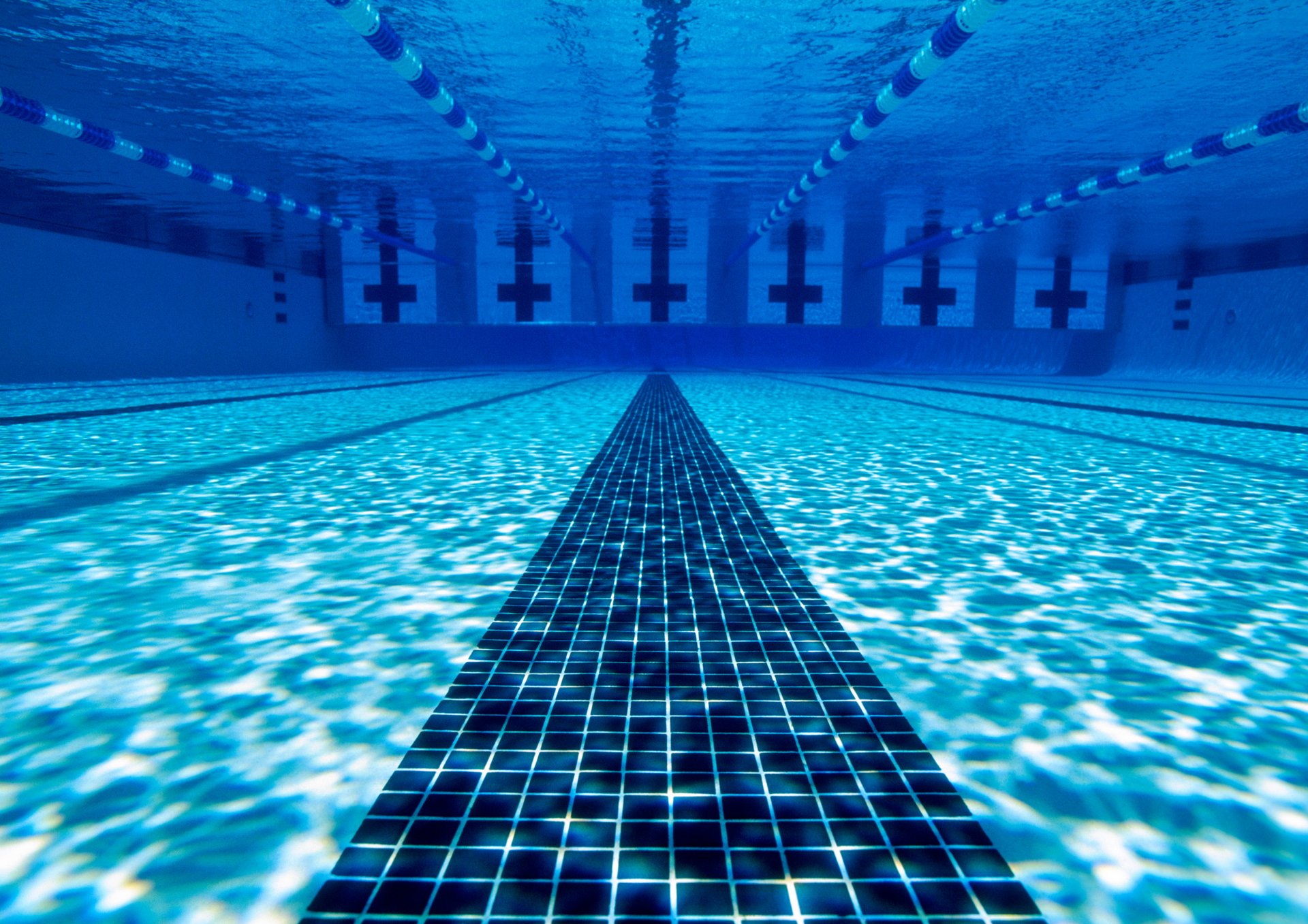 black and brown leather padded tub sofa