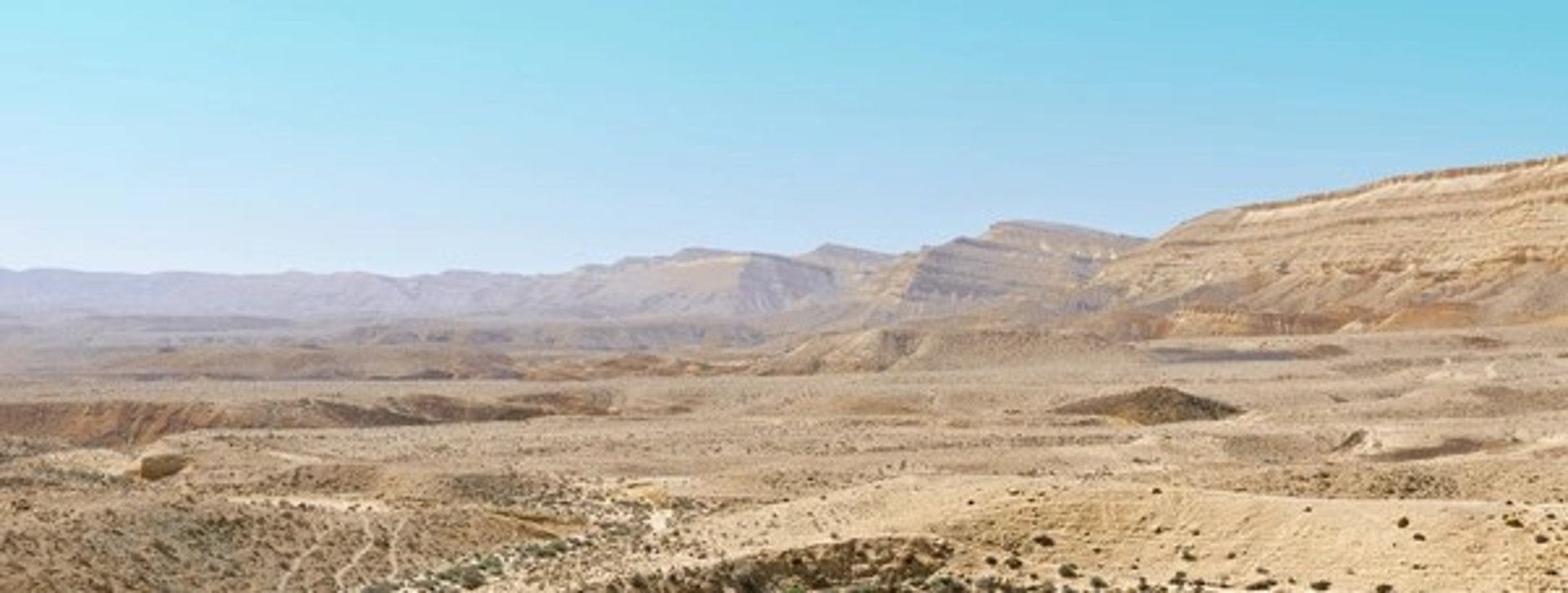 gray computer monitor