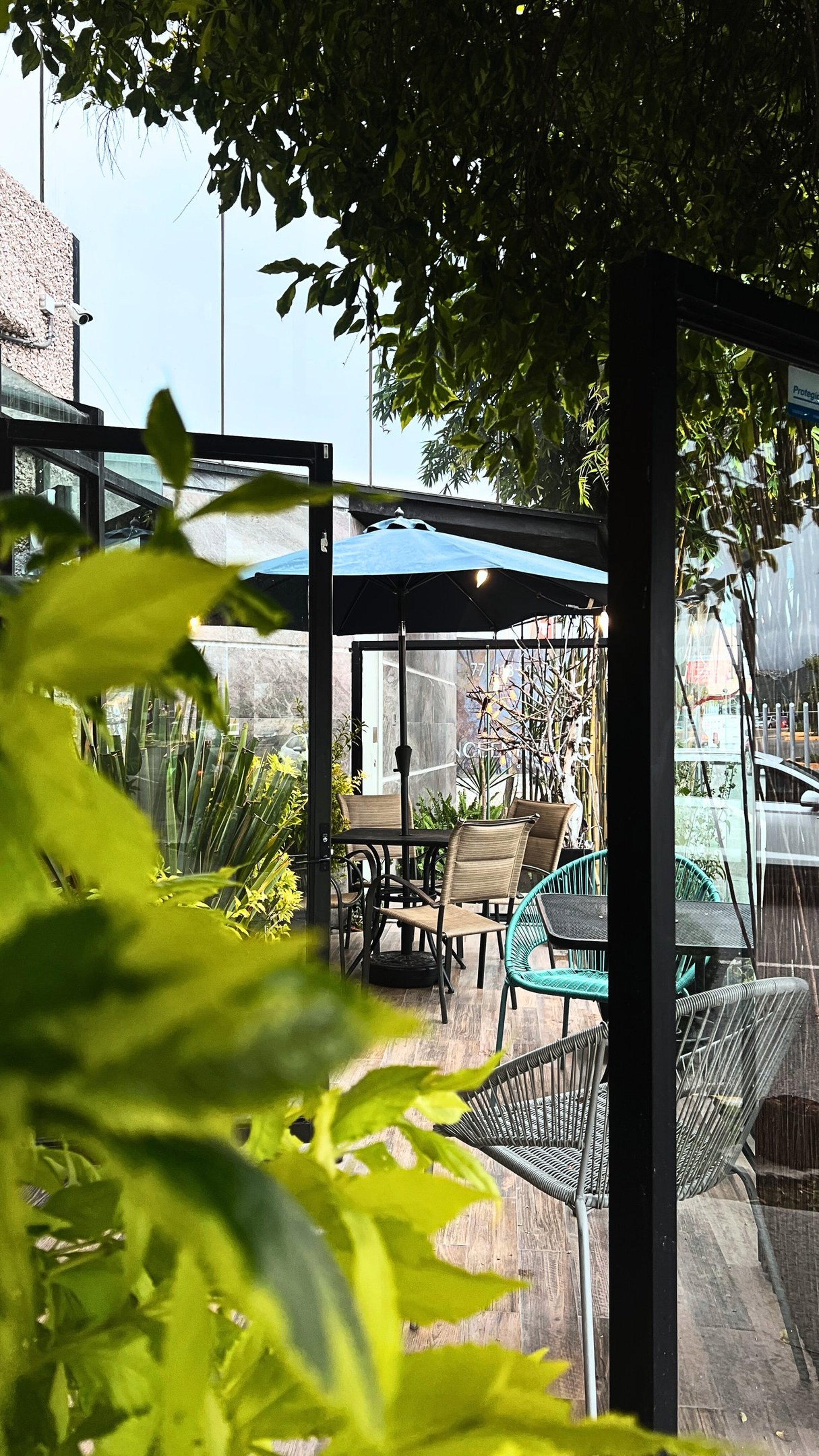 woman wearing yellow long-sleeved dress under white clouds and blue sky during daytime