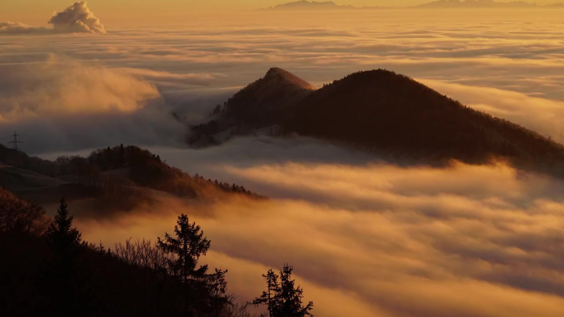 black blue and yellow textile