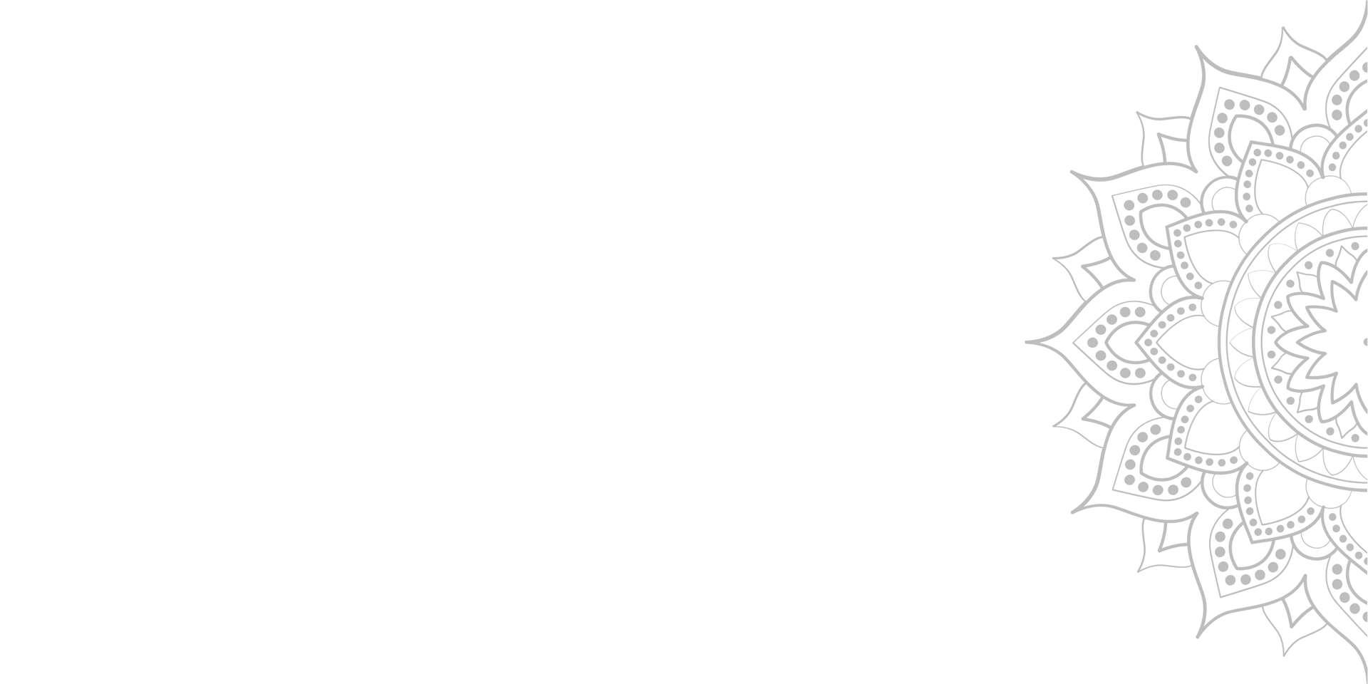 pink lotus flower in bloom