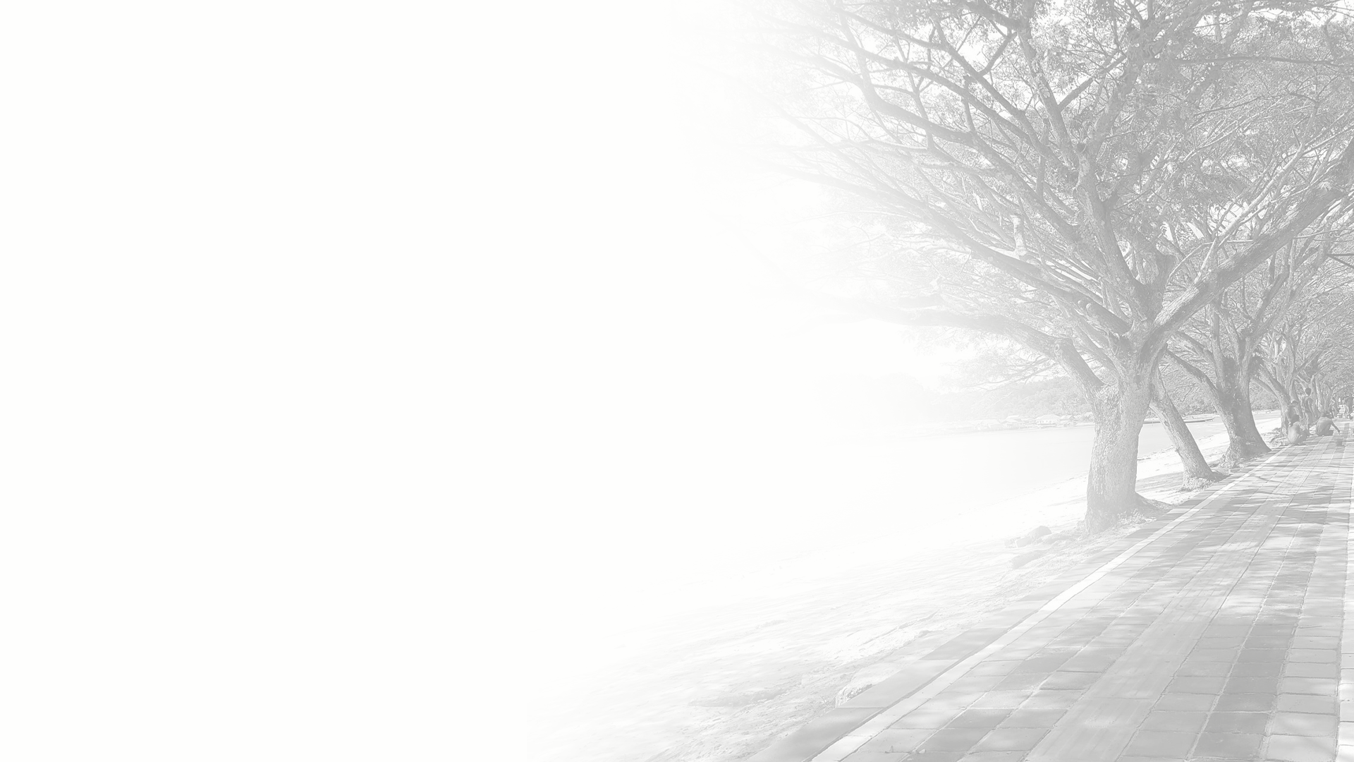 an abstract photo of a curved building with a blue sky in the background