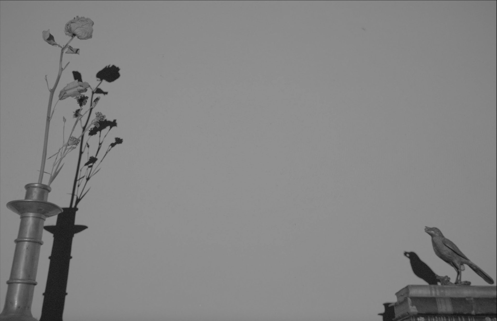 an abstract photo of a curved building with a blue sky in the background