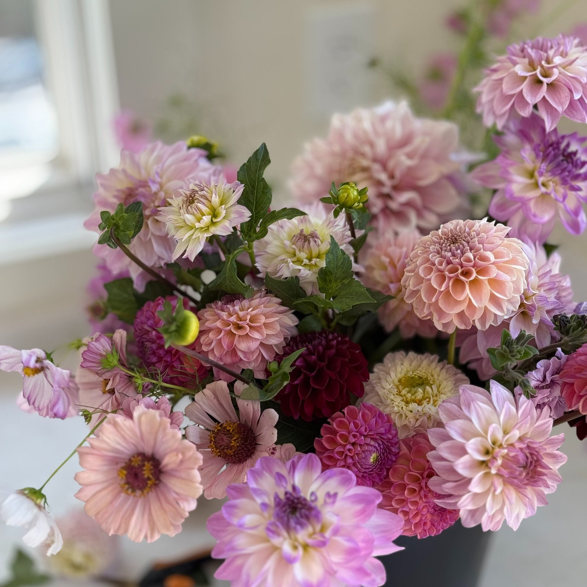 black and white bed linen