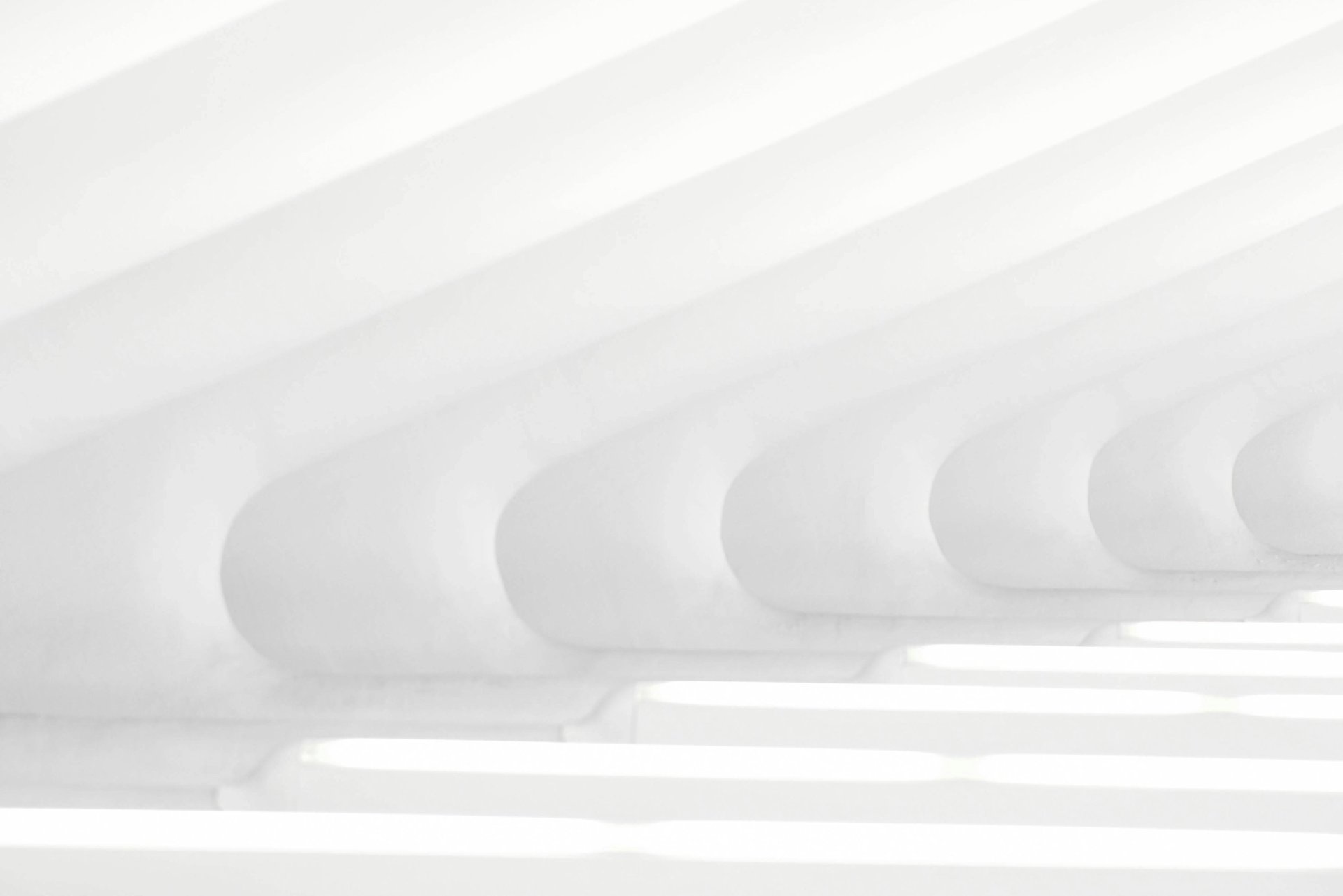 heart shape hand illustration