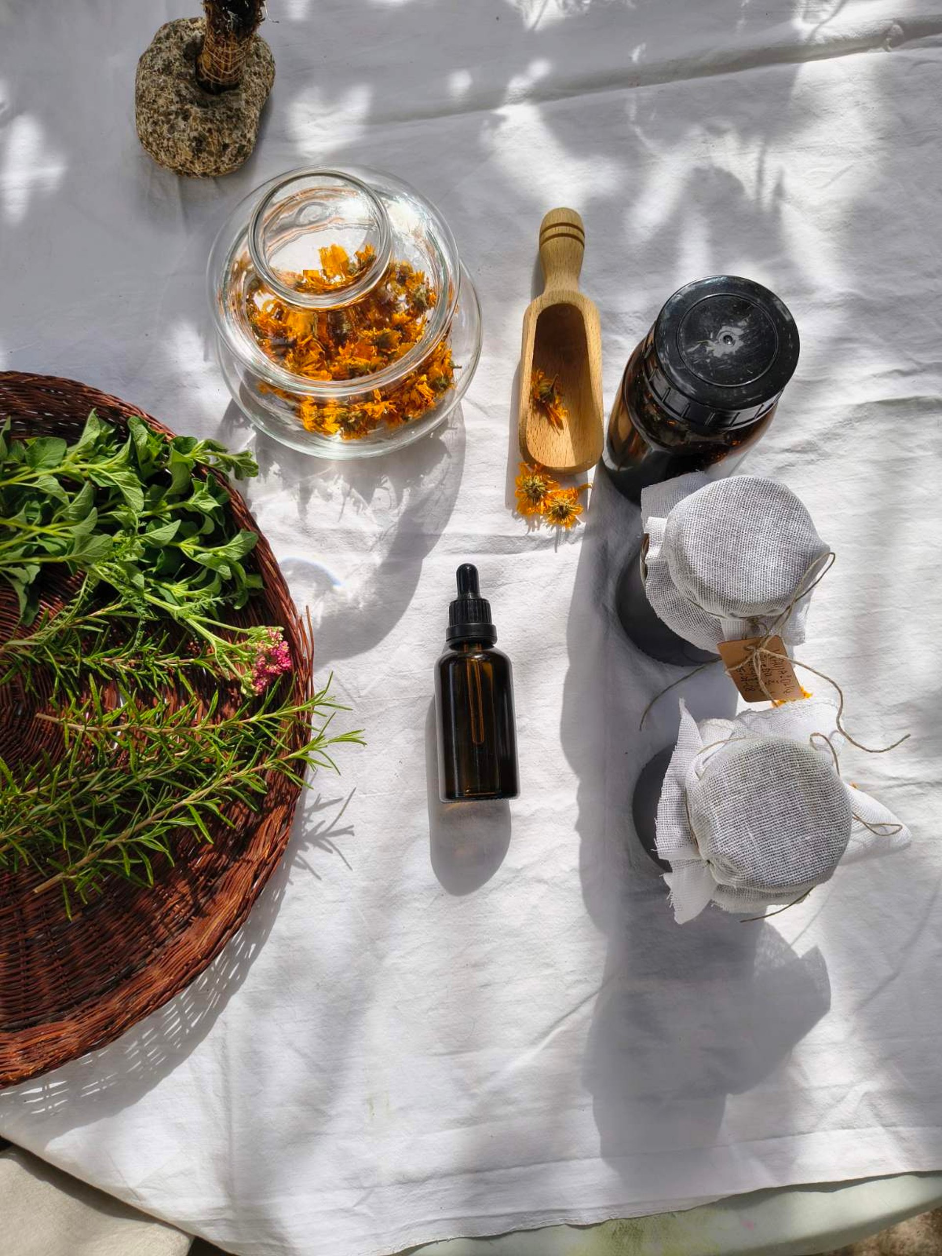 a view of a body of water with wildflowers in the foreground