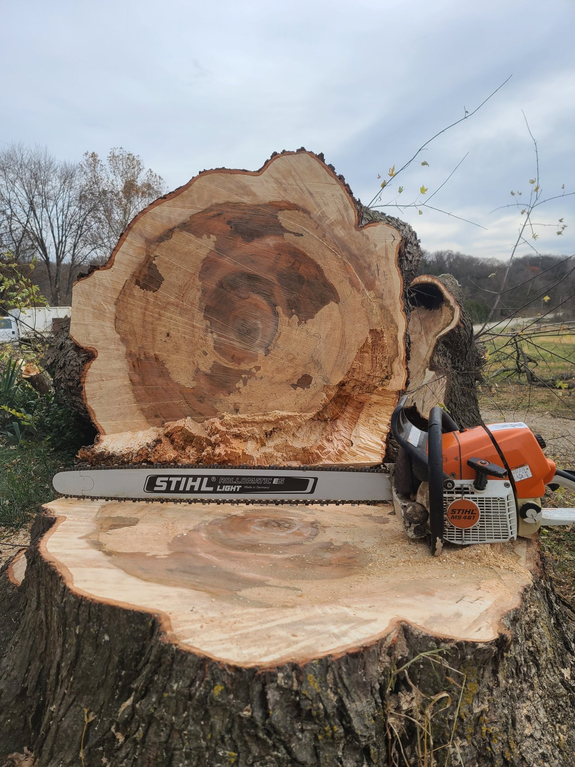 large tree fell over during storm in Lawrence, KS