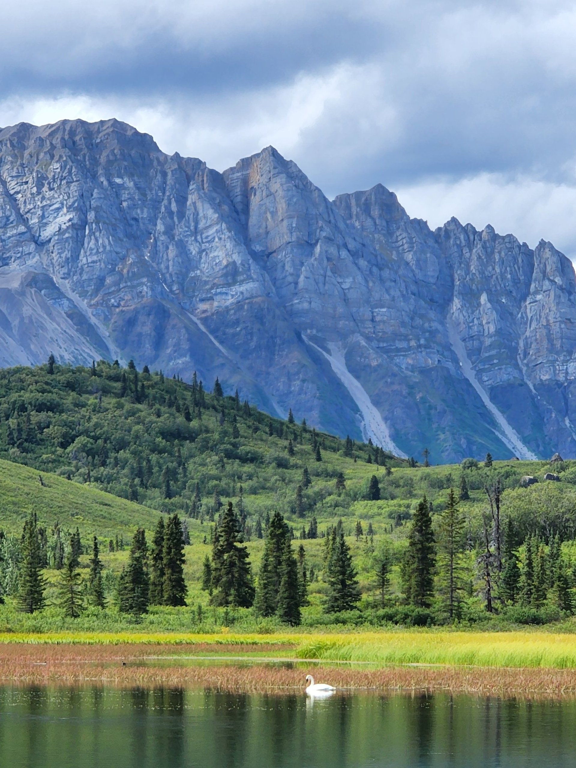 lake view art Lawrence, KS