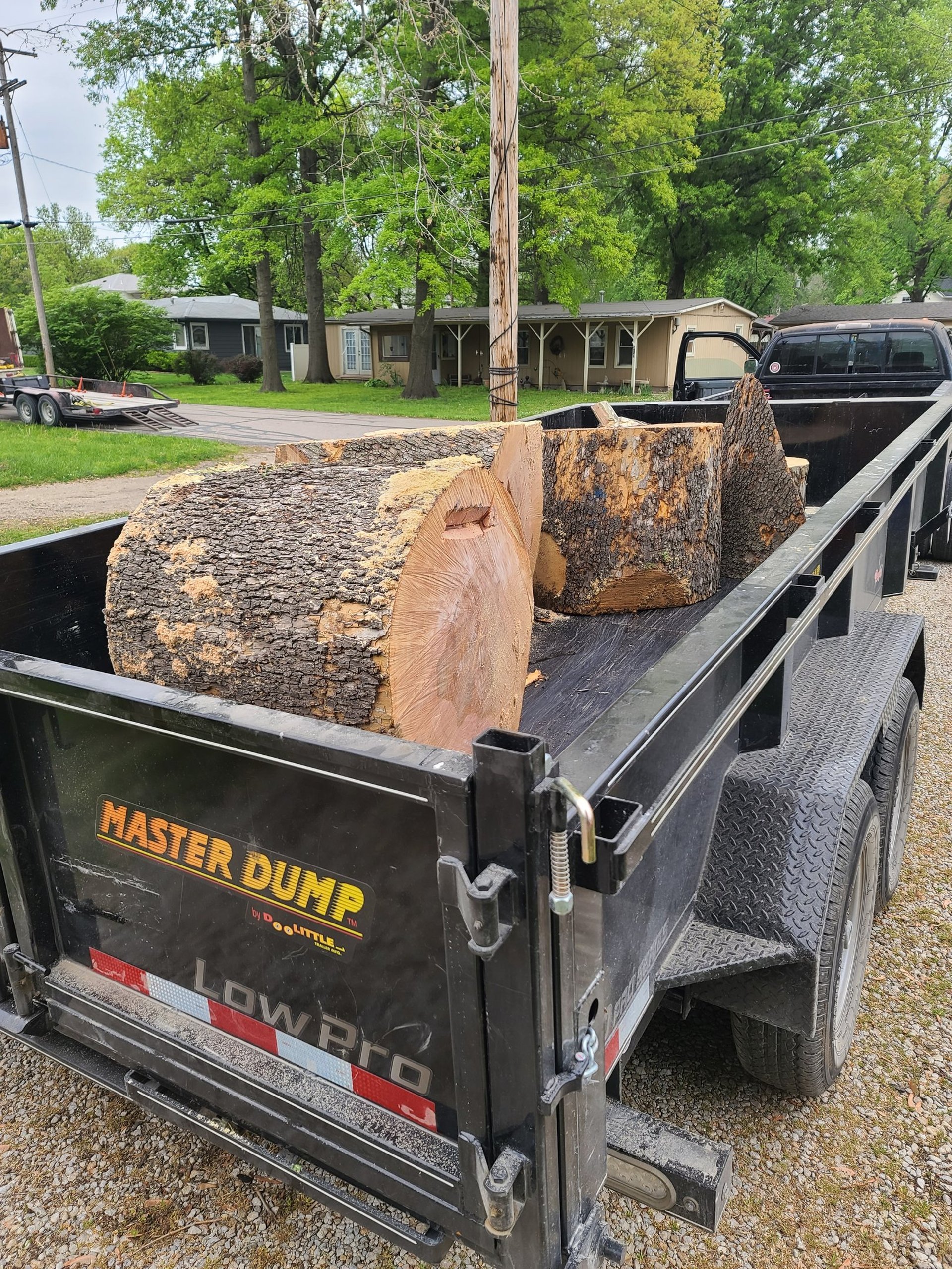 tree removal Paola, KS