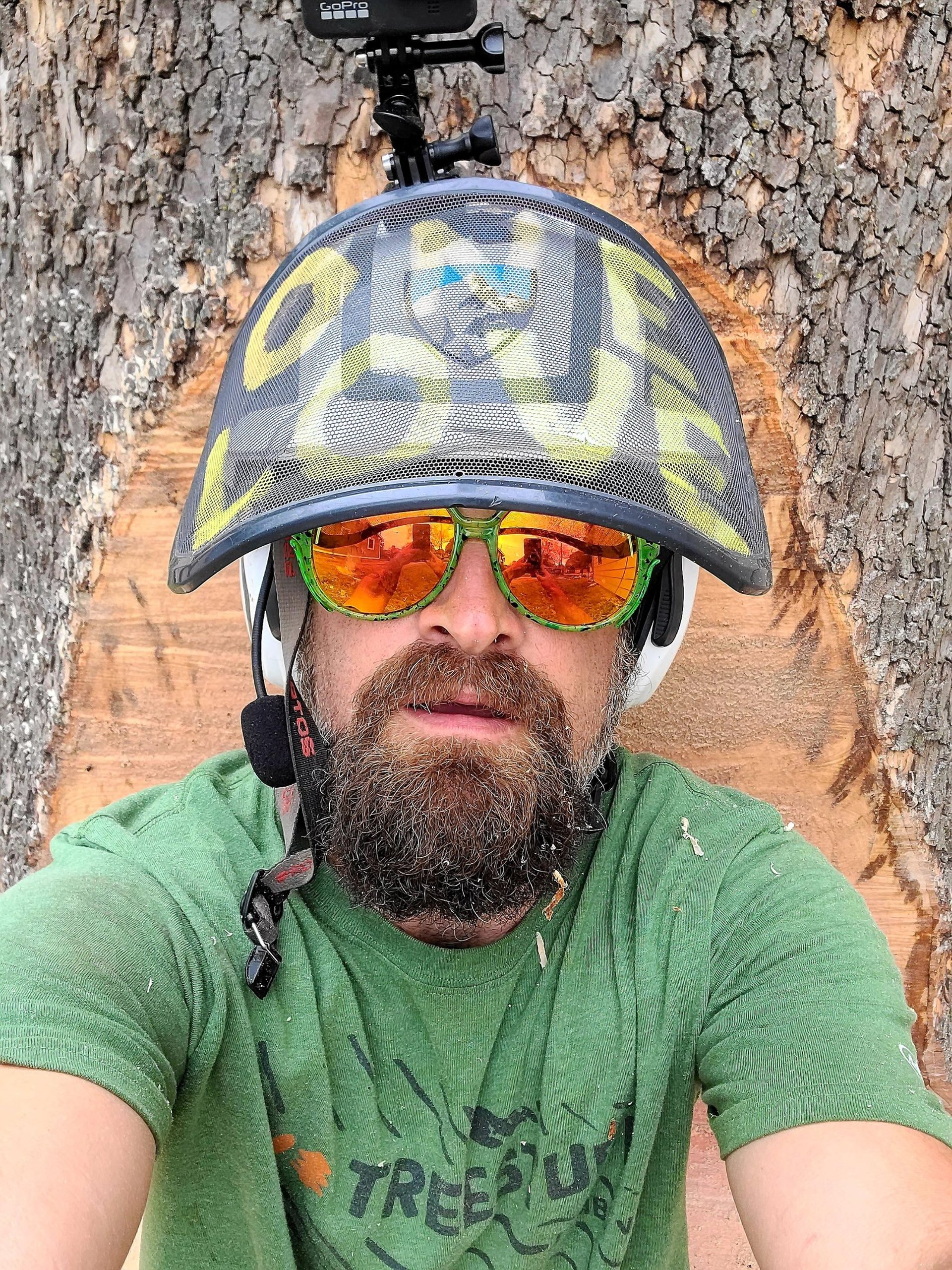 tree removal Paola, KS