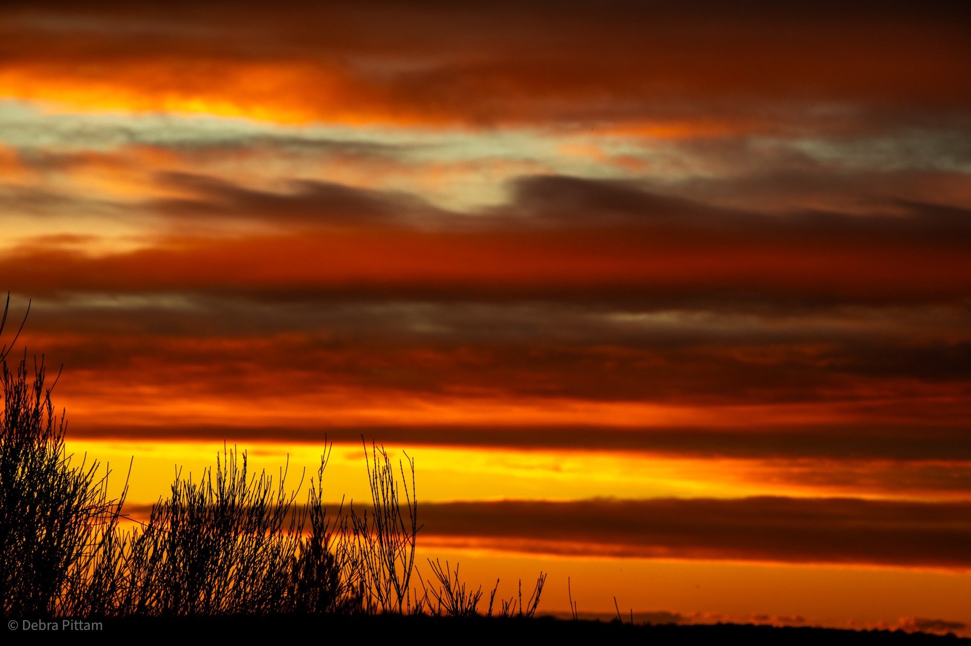 black and white bed linen