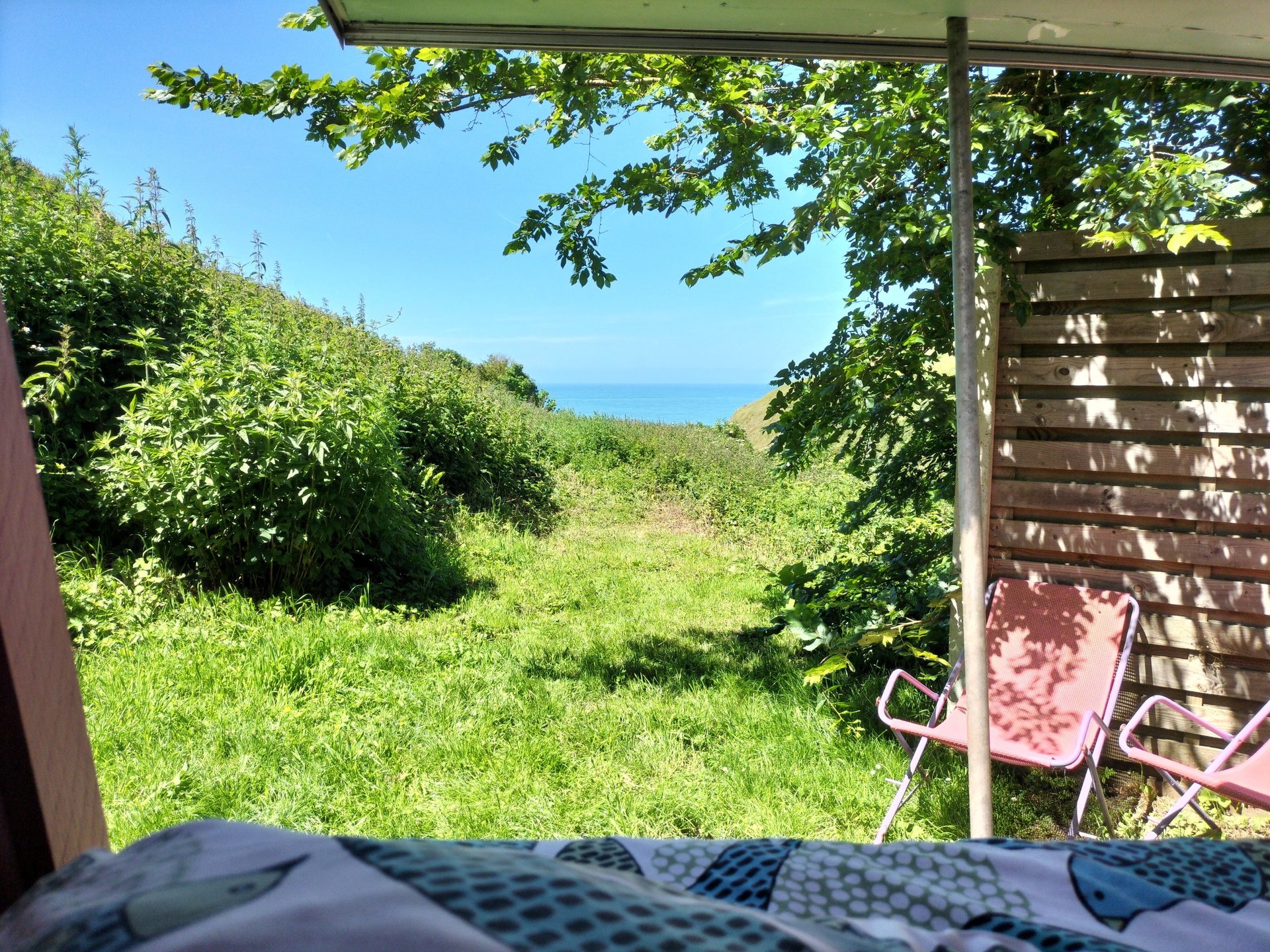 gray and white pathway between green plants on vast valley