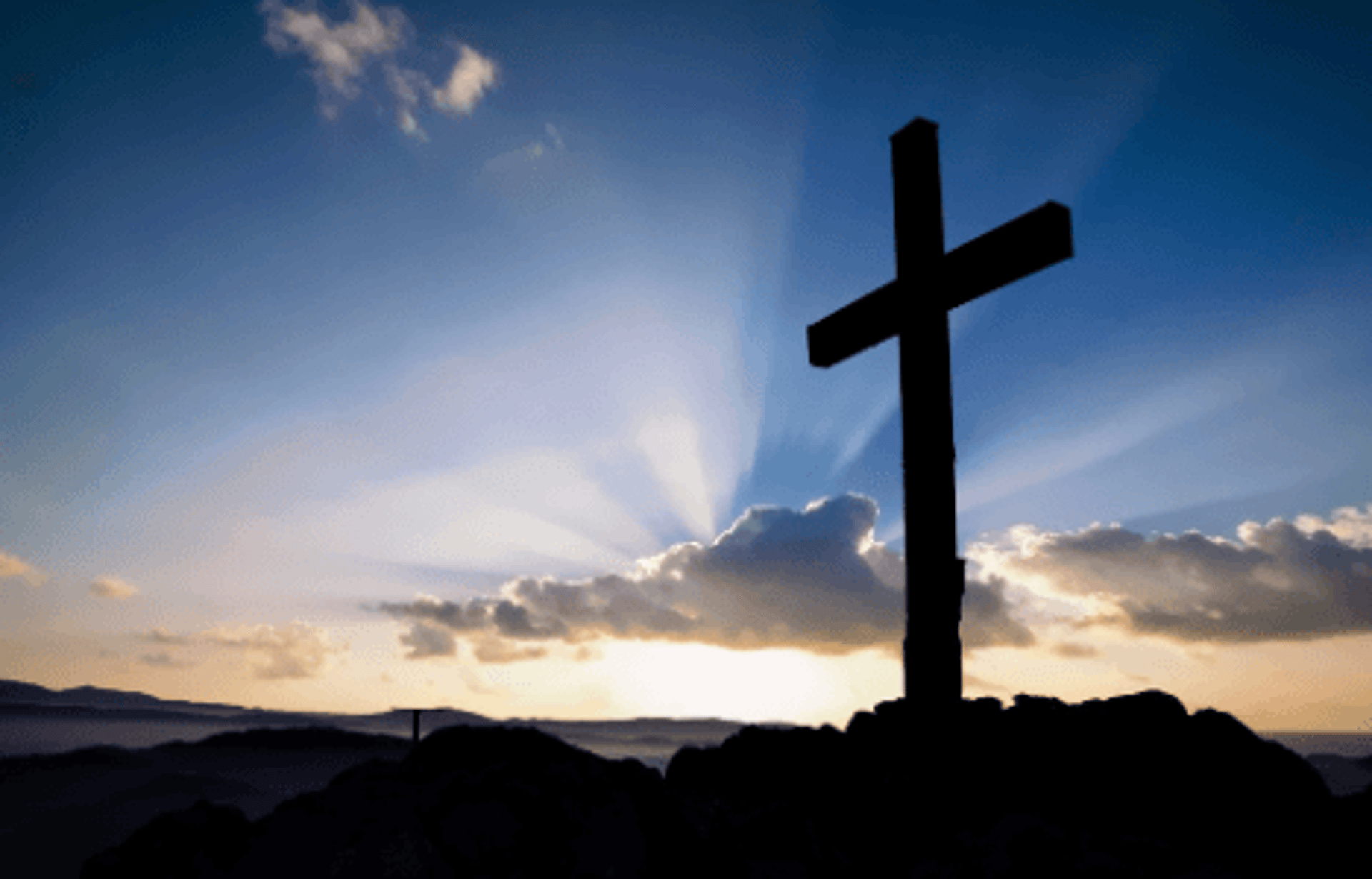 black and brown leather padded tub sofa