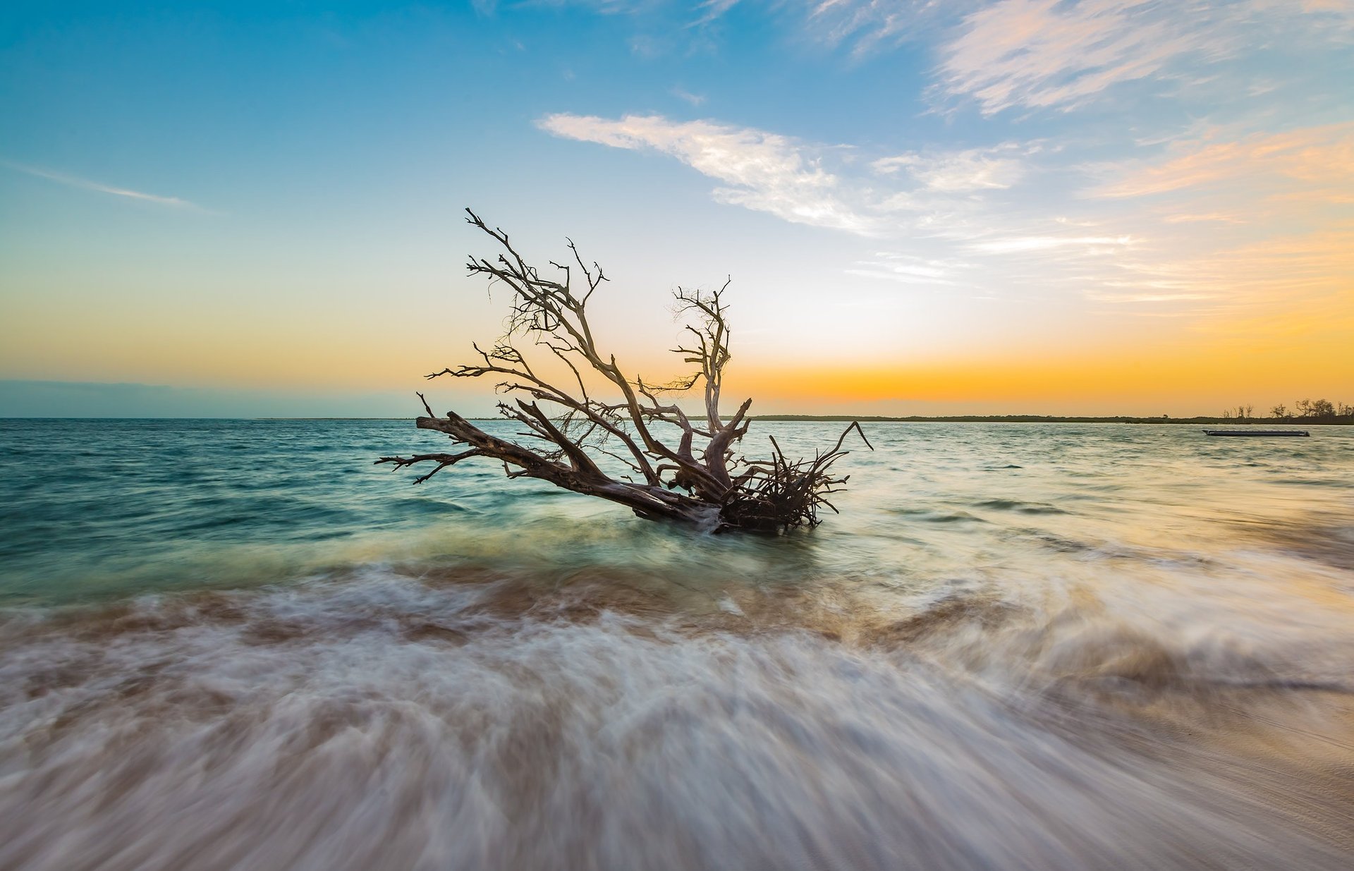 black and white bed linen
