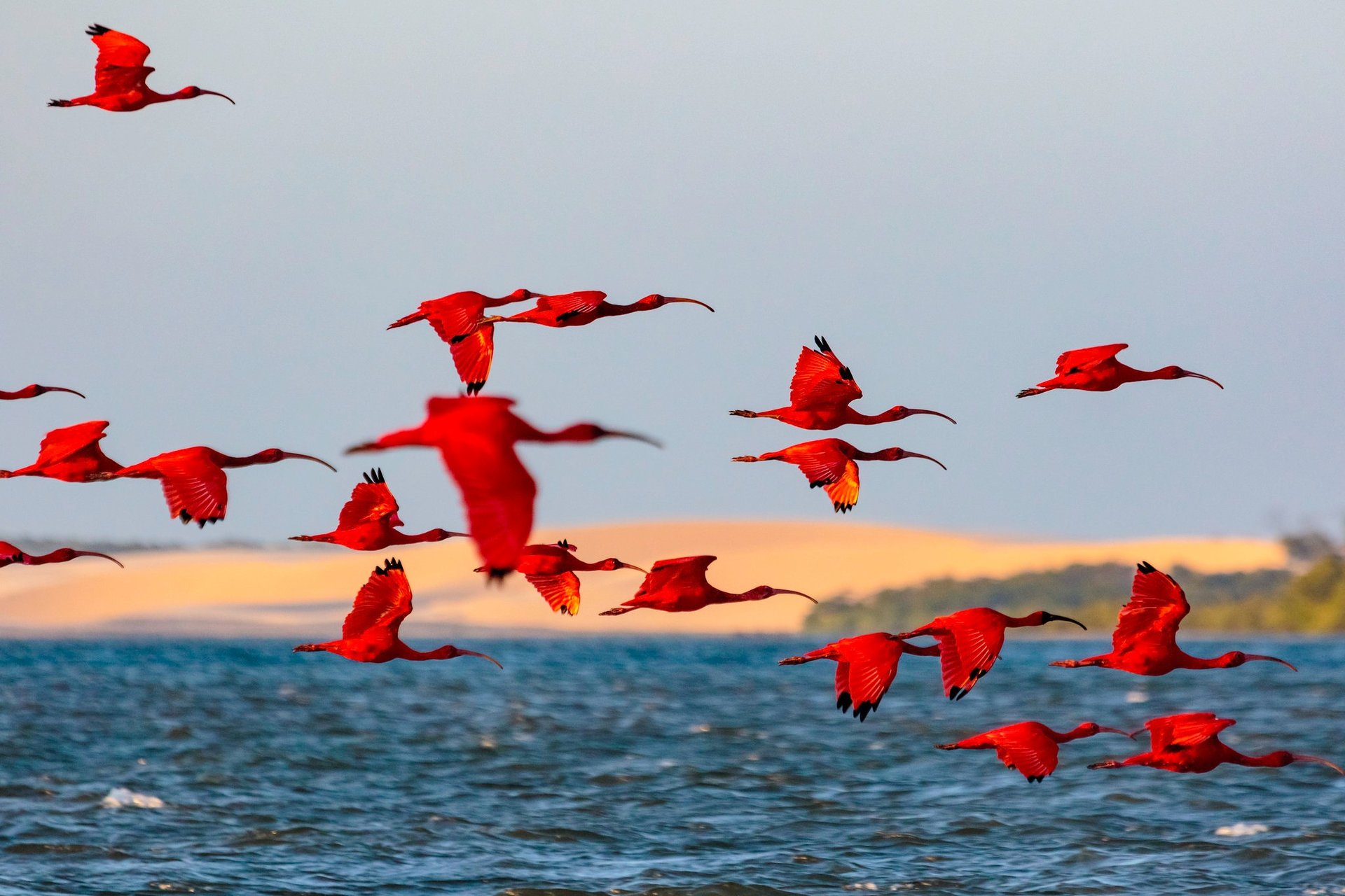 silhouette of mountain during sunset
