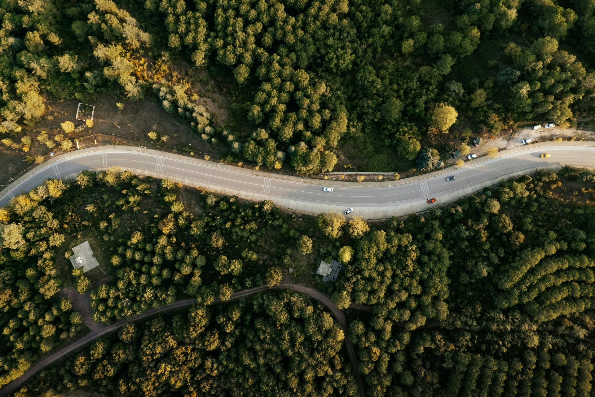 Wooden cabin on snowy hill with pine trees